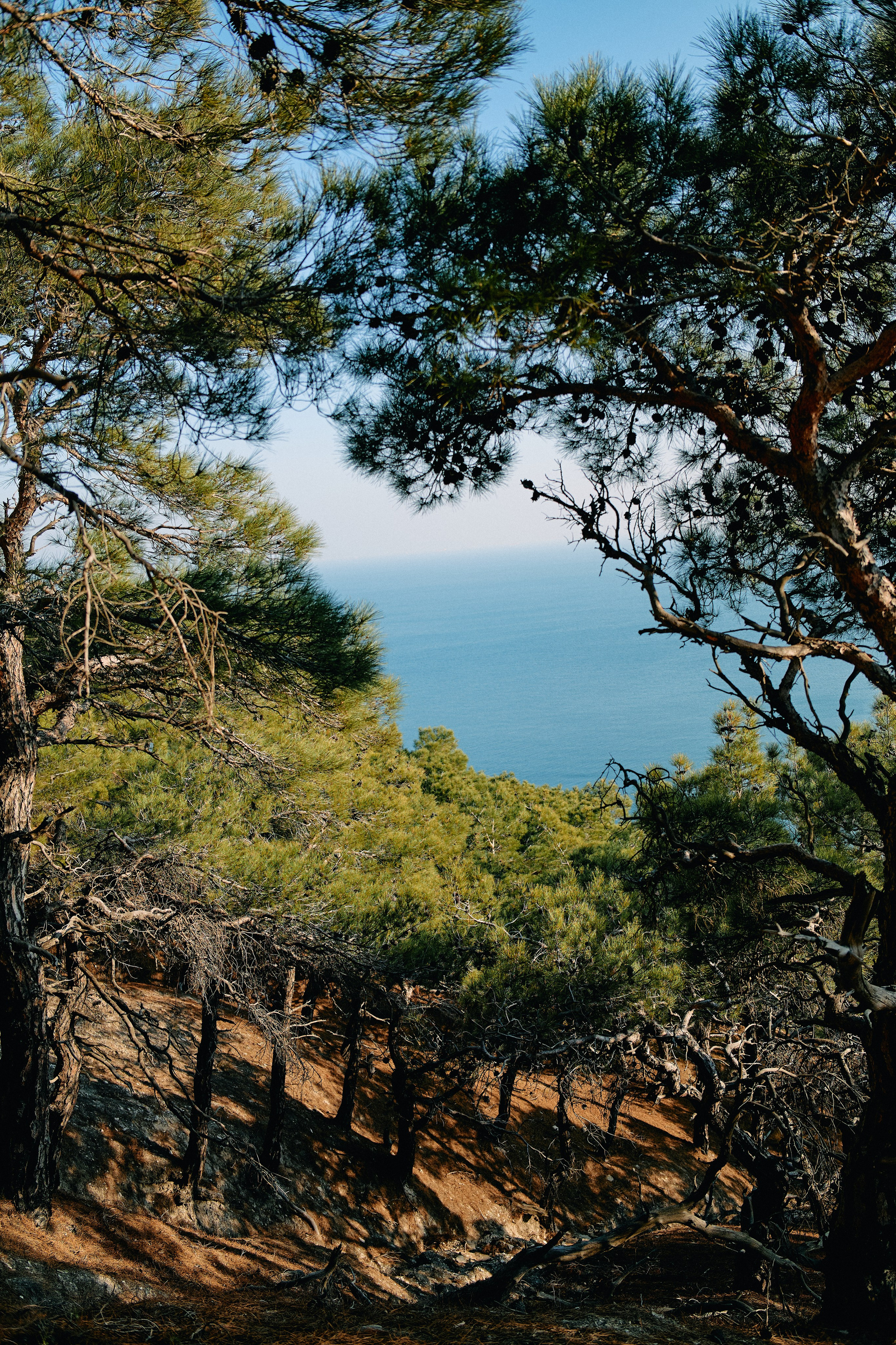 Юг России. Профессиональный Фотограф во Владимире, в Москве и в Суздале — Полина Романычева
