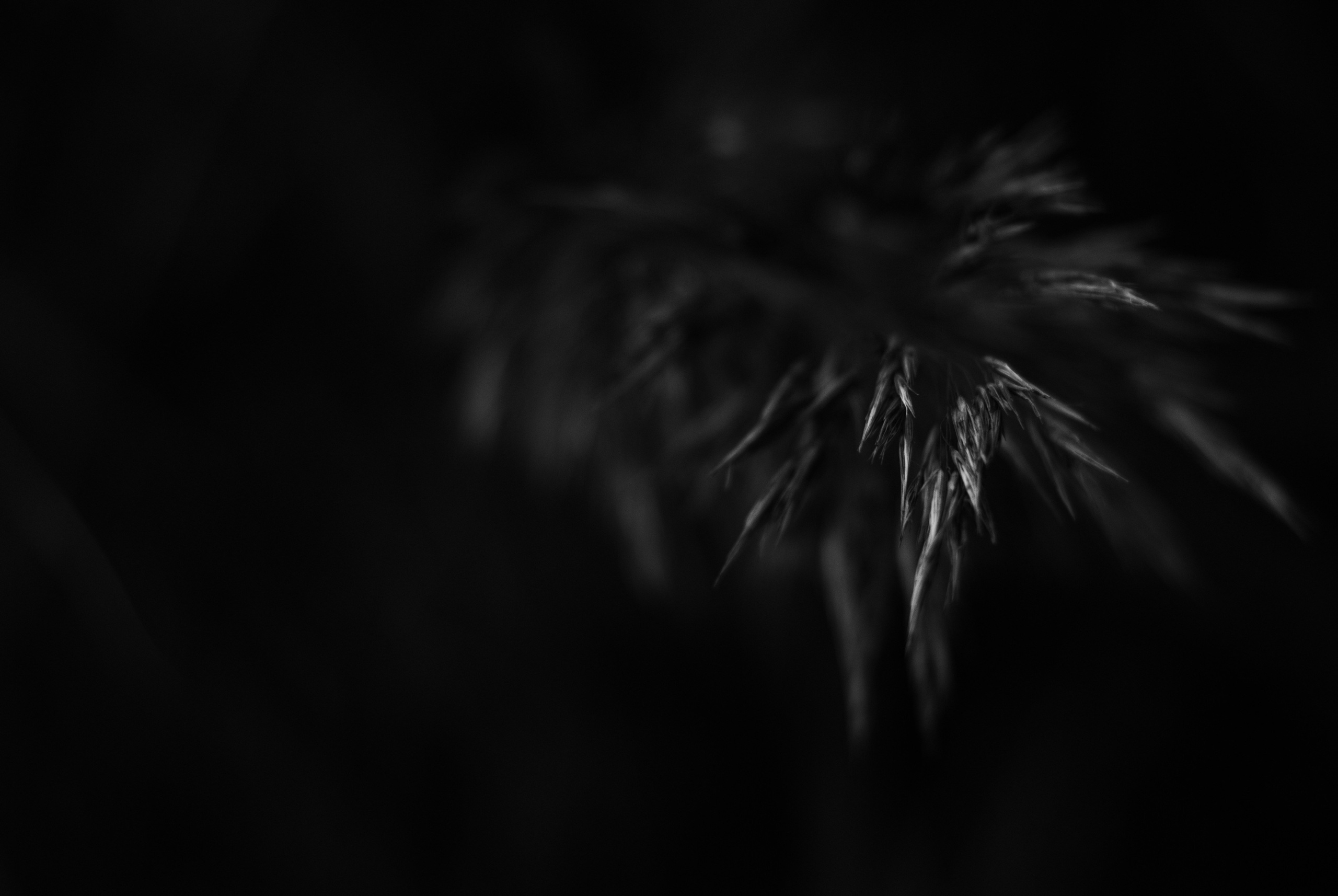 Внутривенные сны (2018-2023)