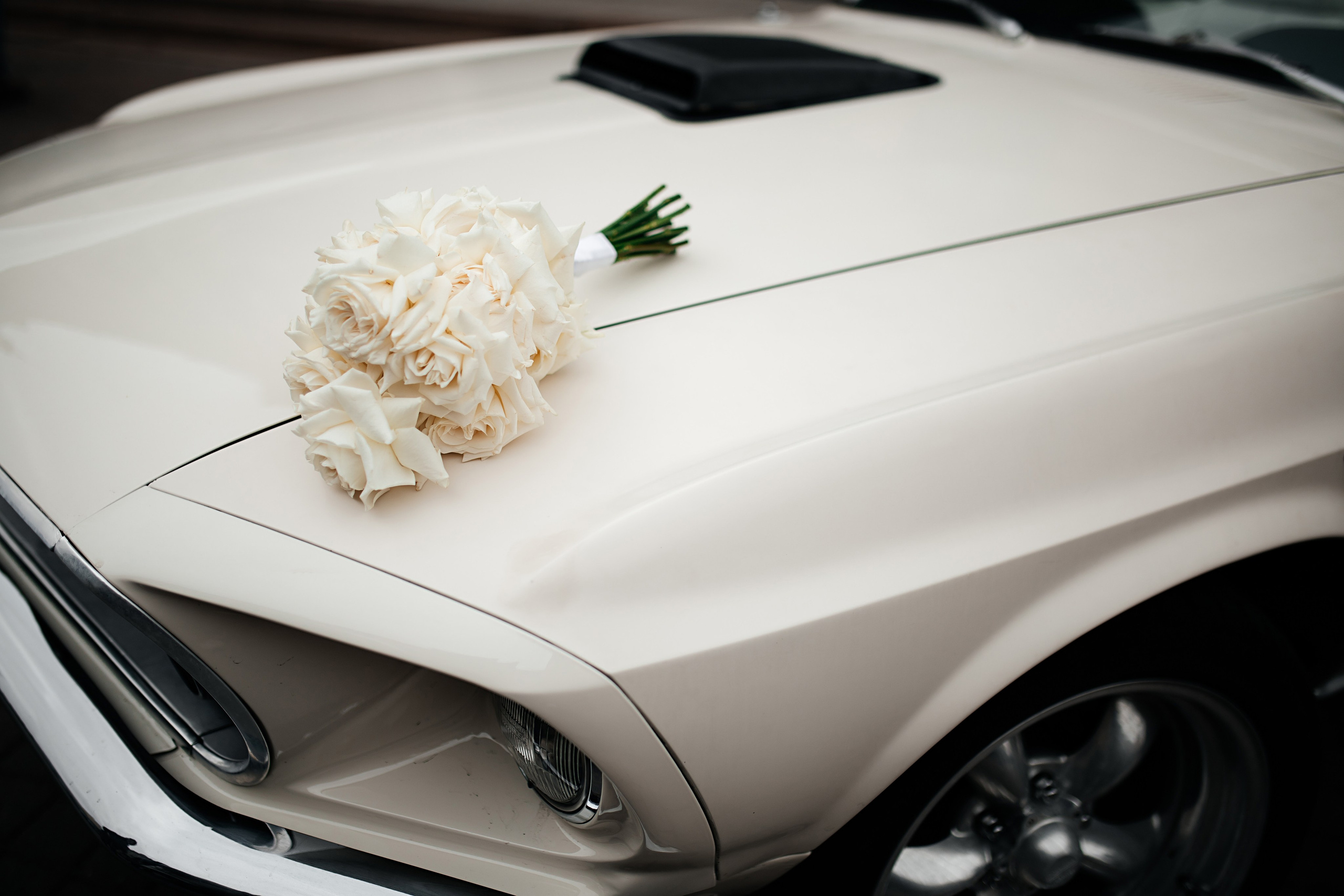 Анна и Герман. Фотограф Санкт-Петербург Раднаева Юлия