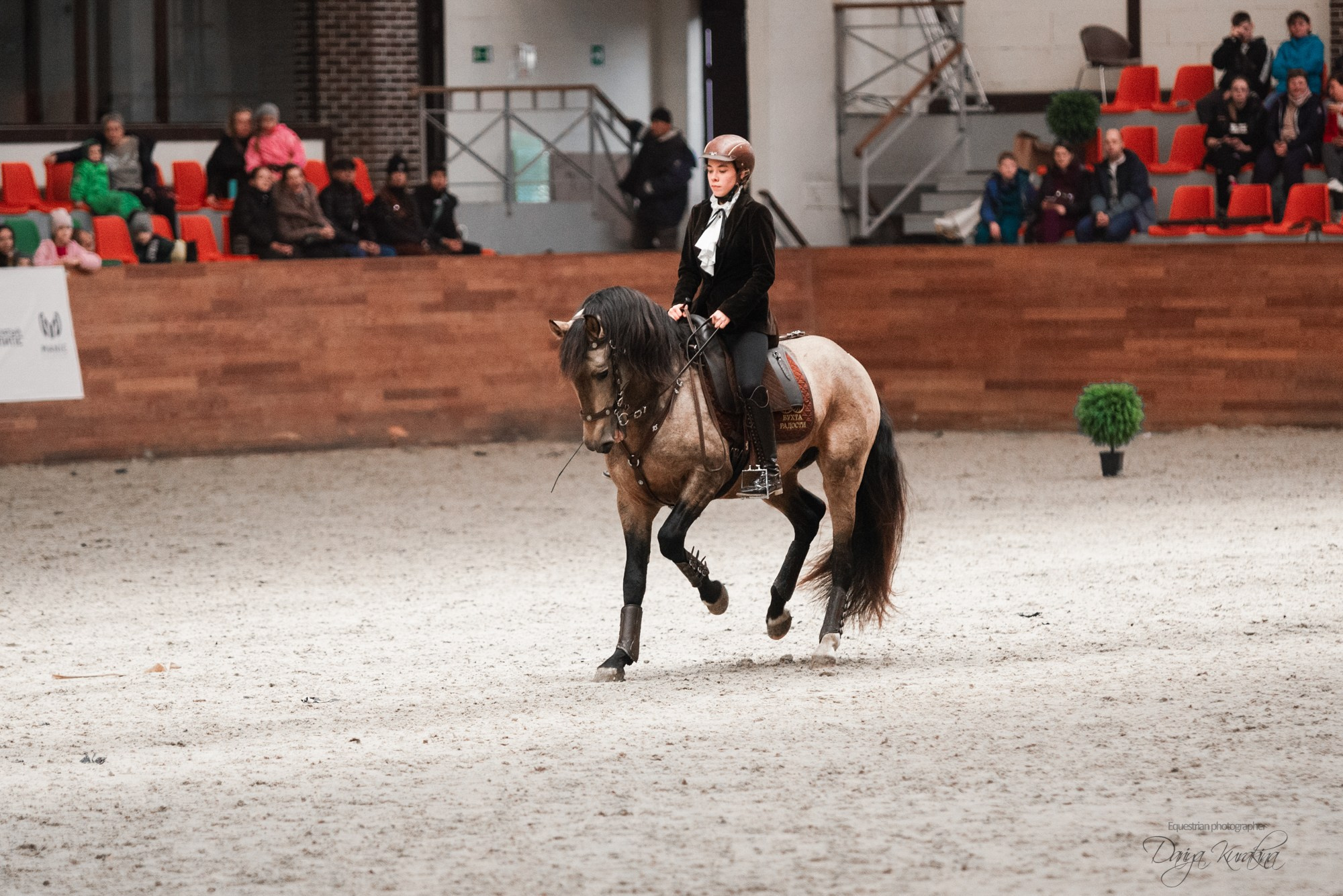 8-я международная выставка Конная Россия. Конный фотограф Куракина Дарья • Фотосессии с лошадьми