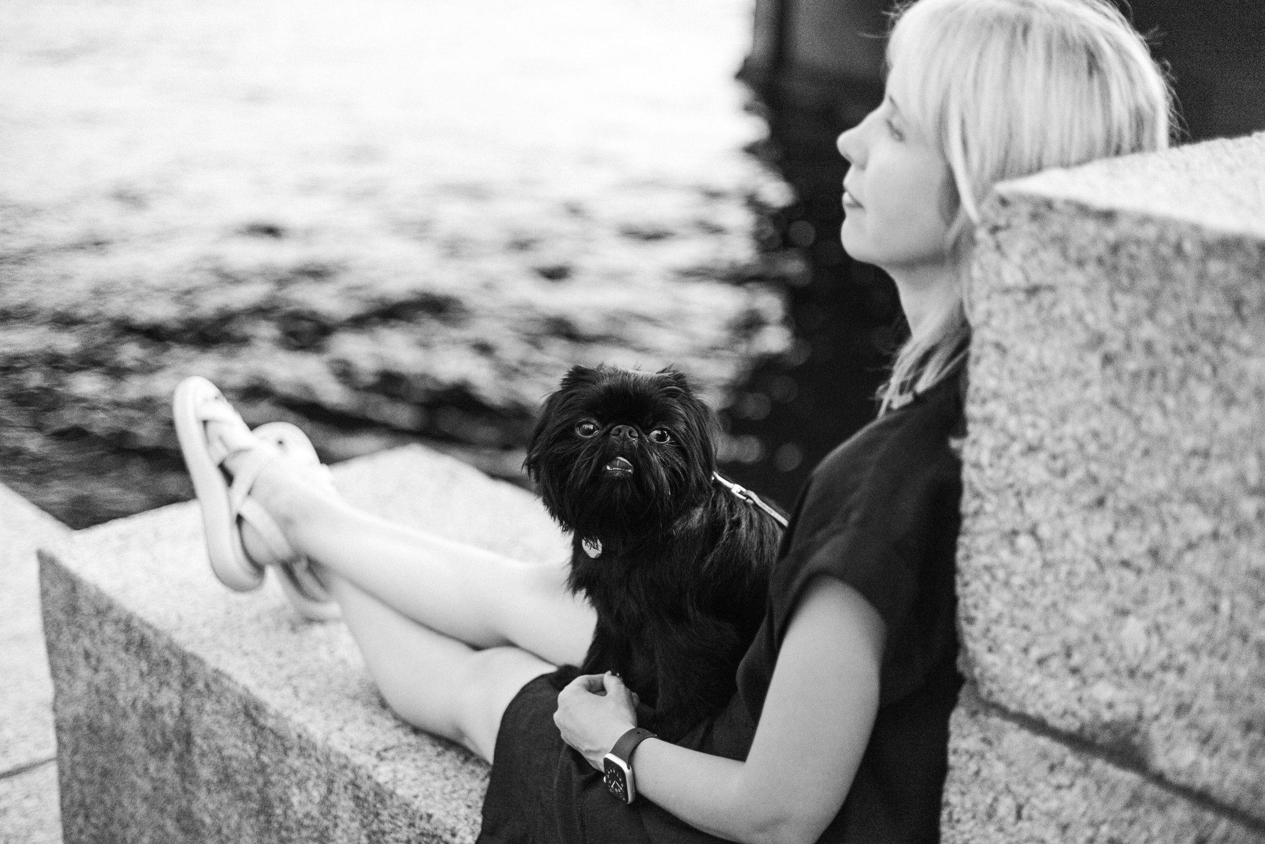 Ася и Кузя. Фотограф анималист Осипчикова Мария