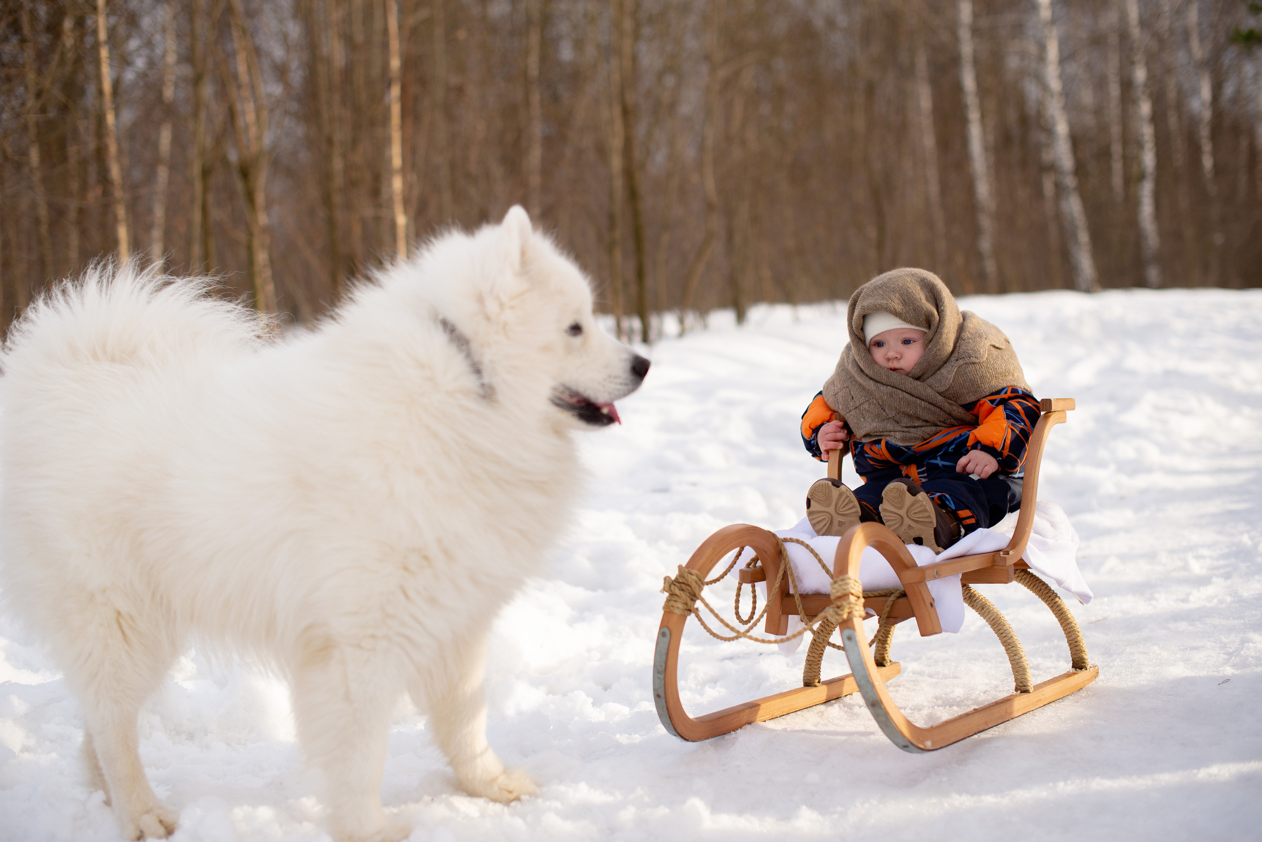 Детские фотопроекты. Сайт фотографа Анны Беляевой