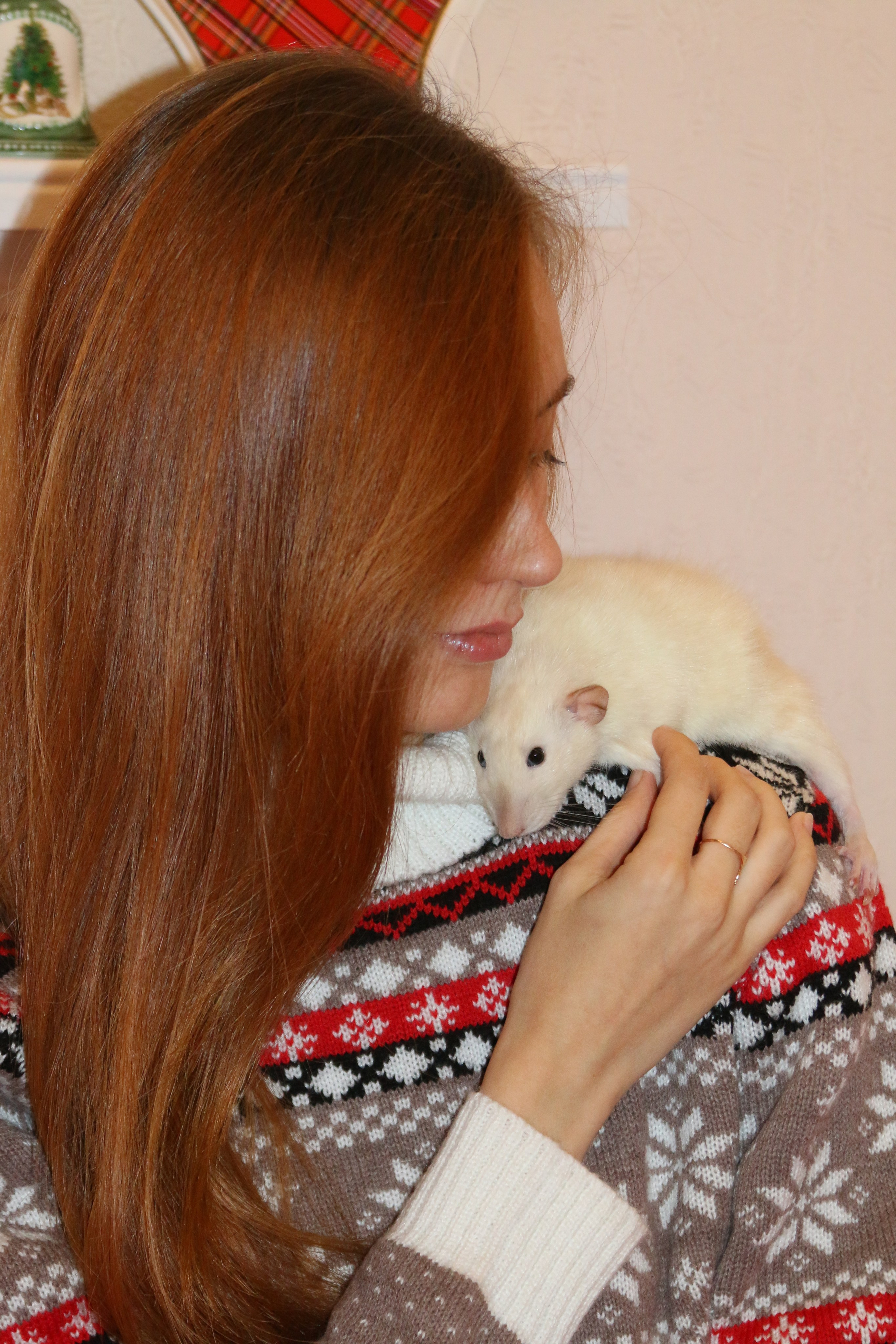 Съемка с питомцем