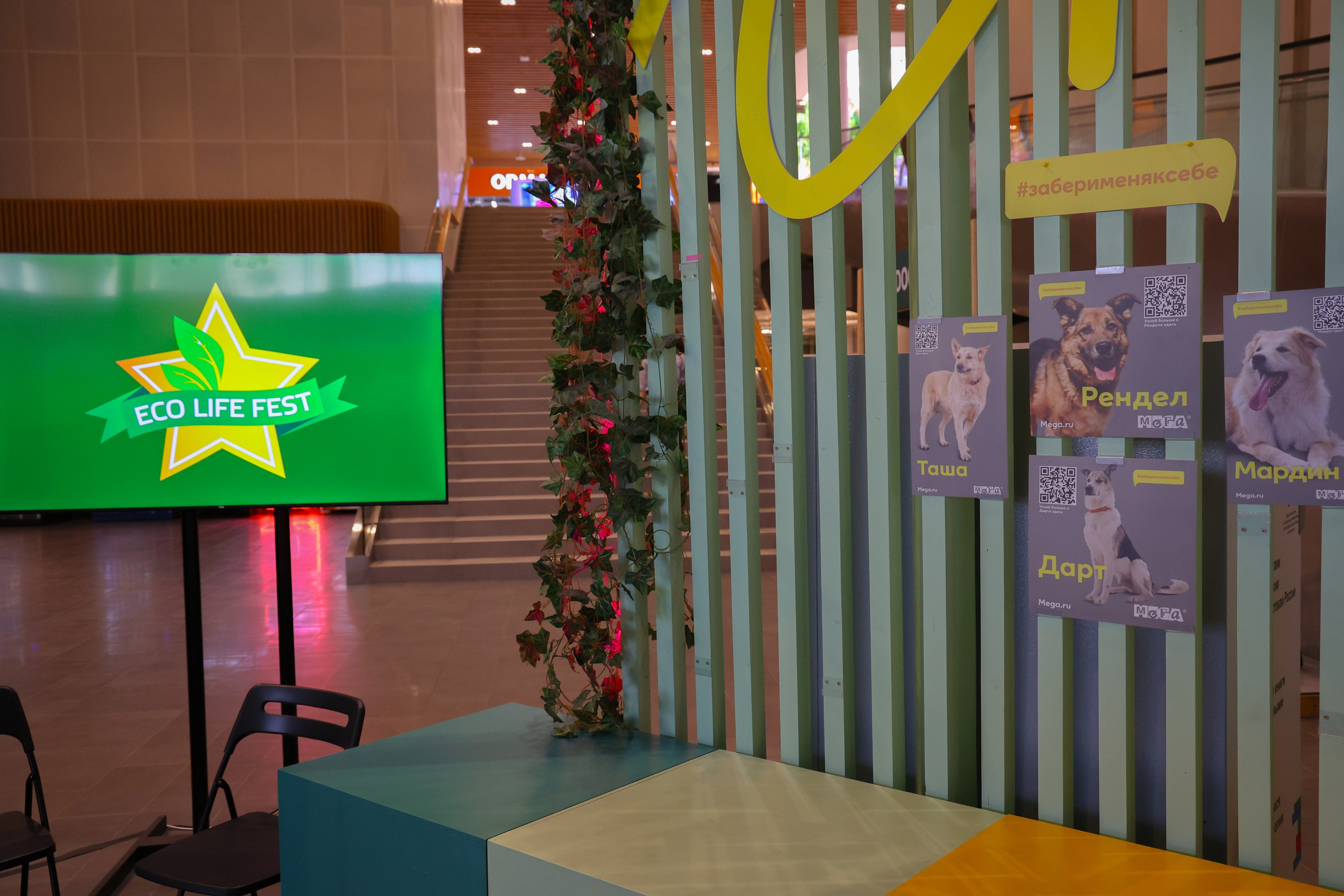 ECO FEST. Фотограф Вадим Бодылев