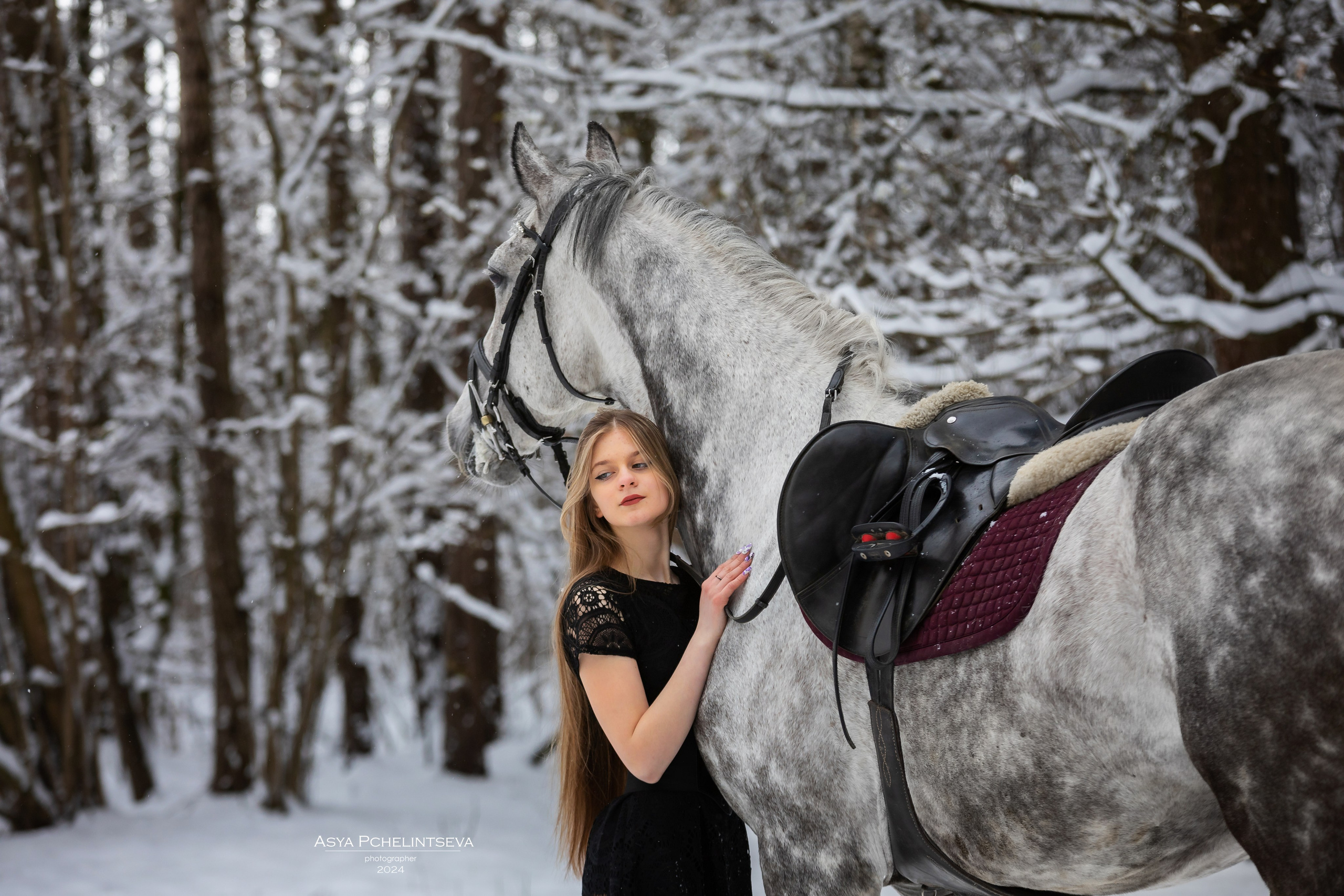 Баядера. Ася Пчелинцева, фотограф в СПб и ЛО