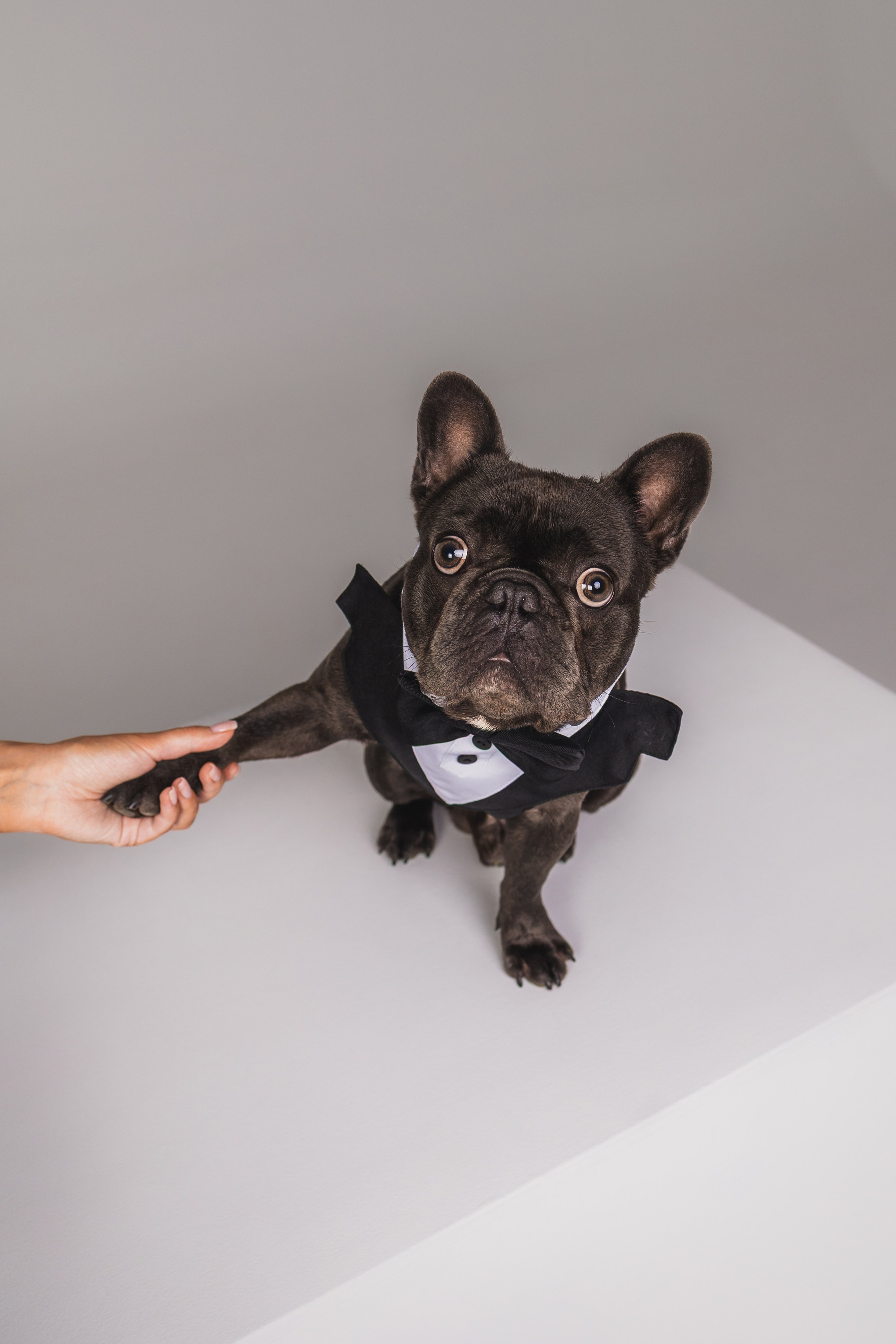 Кристина и Счастье