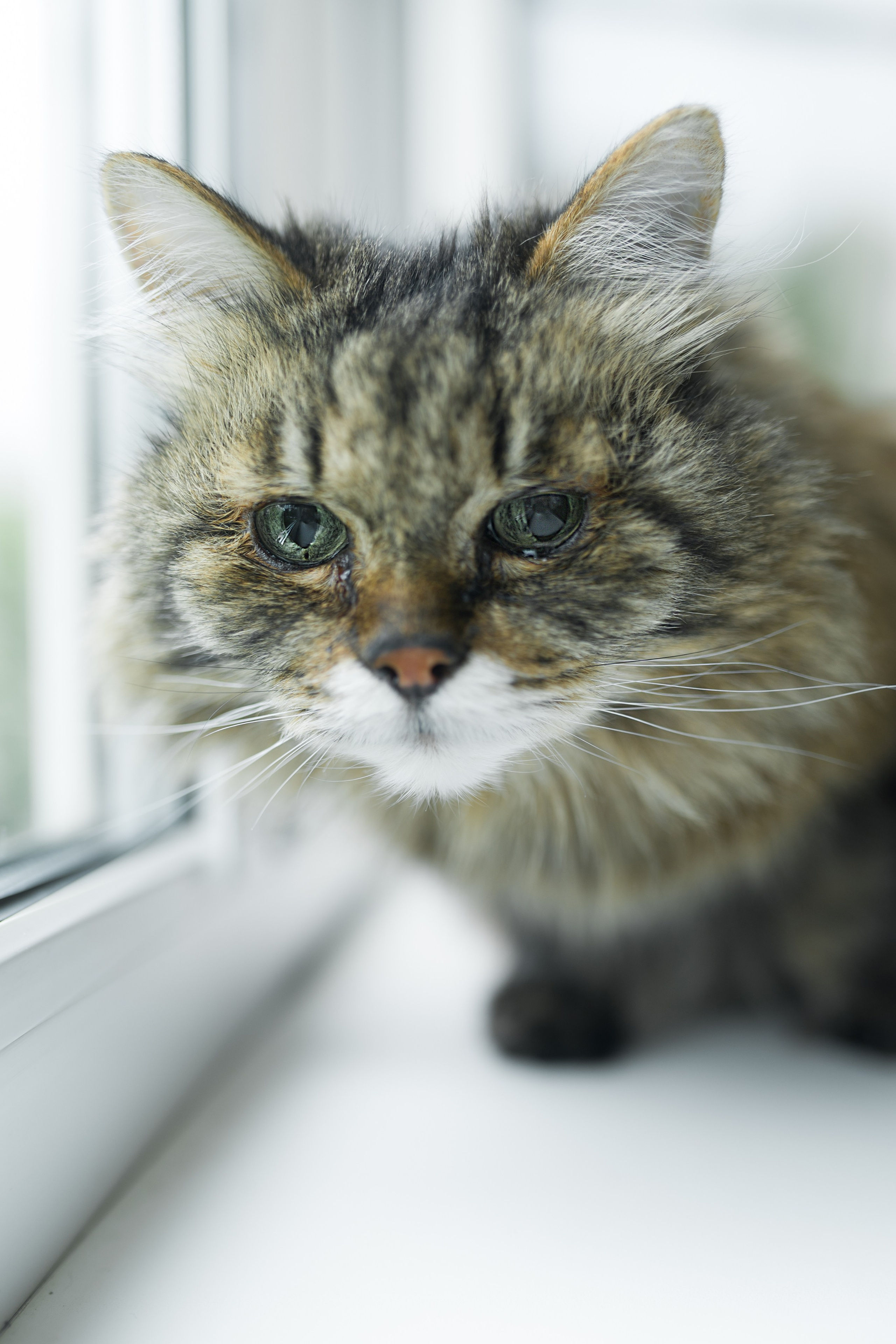 Марк и Юлия. Фотограф Зырянова Яна, Снежинск, Екатеринбург, Челябинск