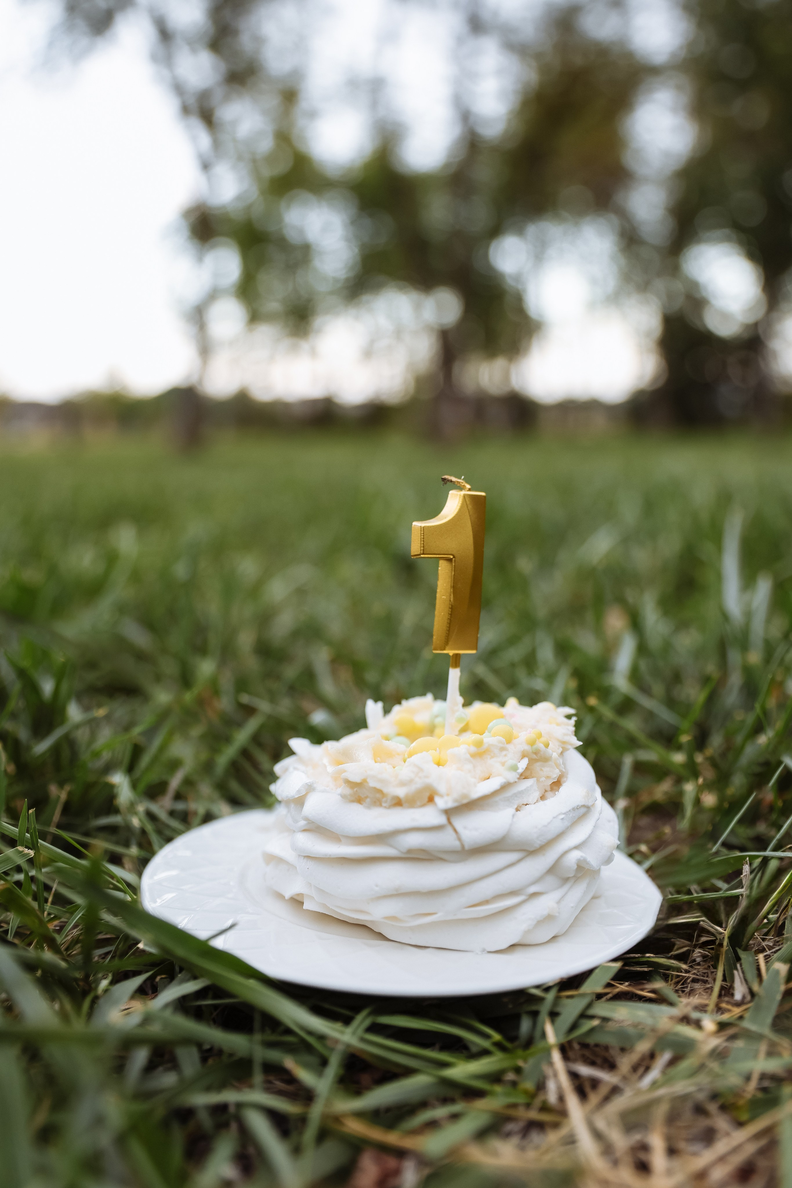Первый годик. Свадебный фотограф Ольга Гречко
