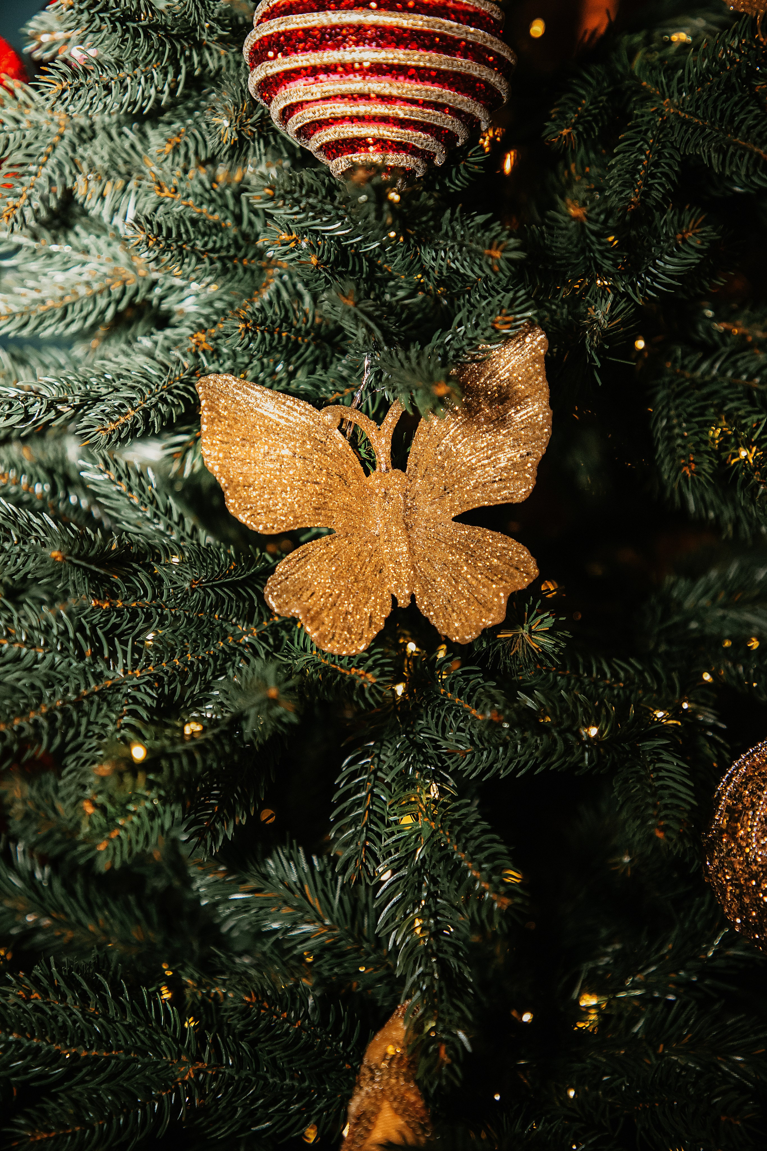 Заставки. Свадебный и семейный фотограф/видеограф в Краснодаре Наталья Осинская