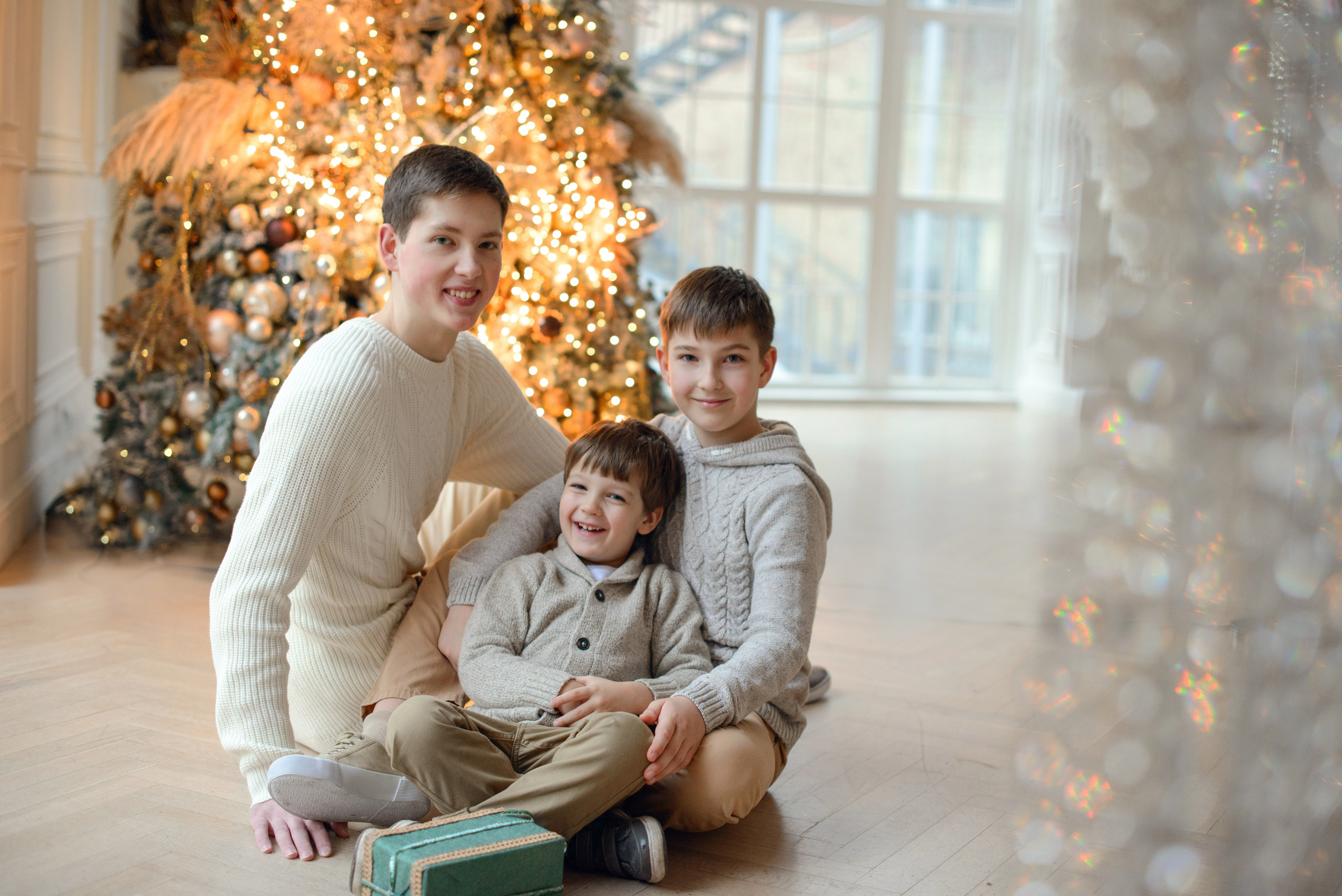 Brothers, three boys, Studio photo shoot at Christmas time