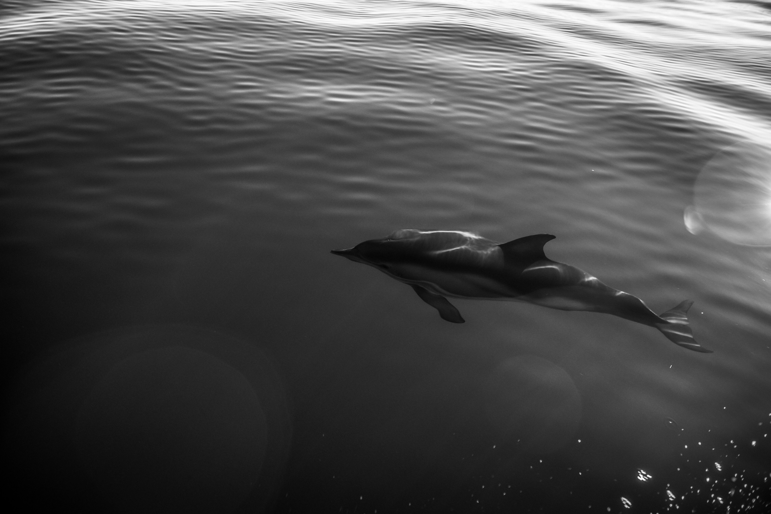 Wild and free. Anastasia Serdyuk, travel photographer, travel photo, portraits, stories, fineart prints