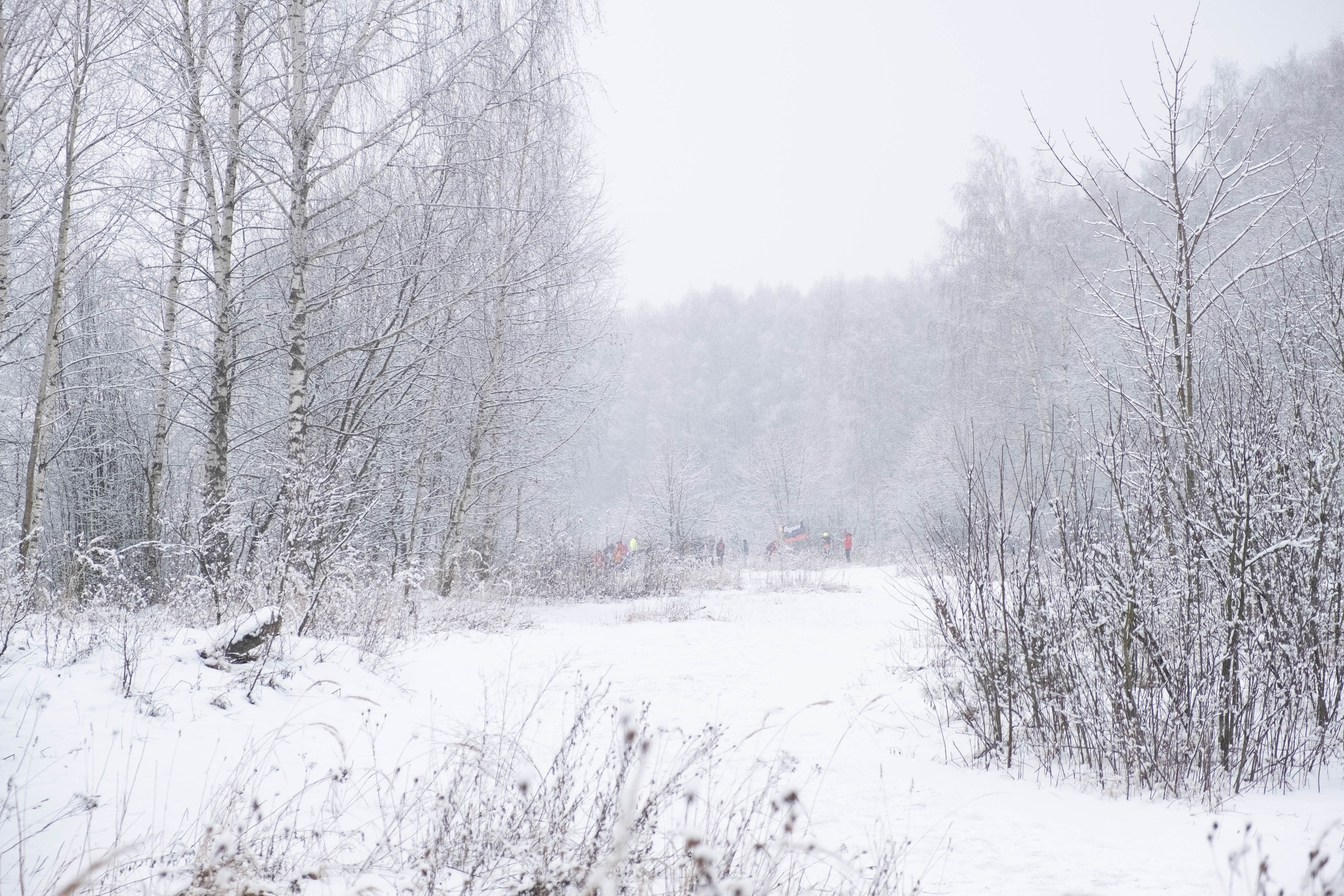 Репортажная съемка. Фотограф Диана Иремадзе