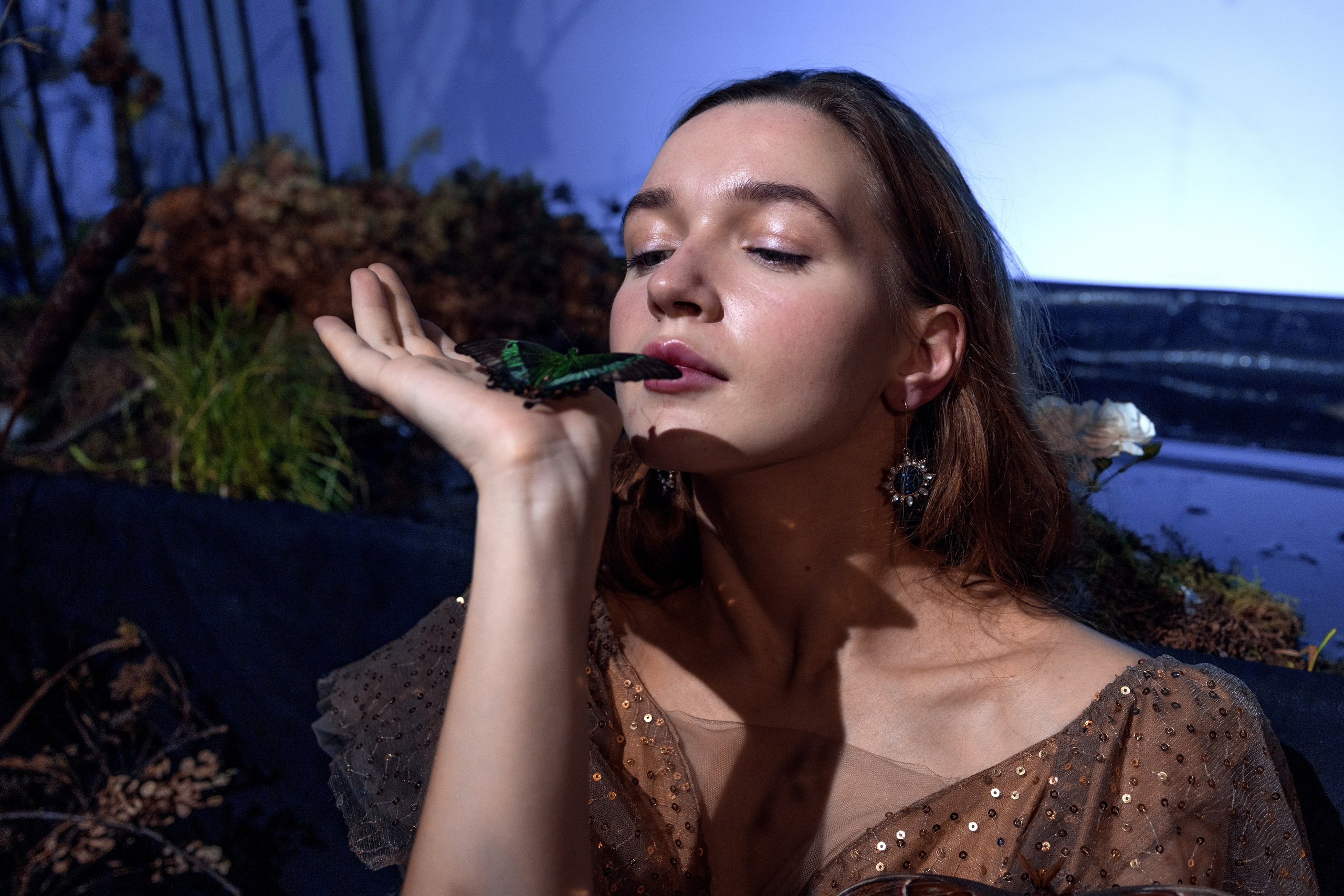 Фейский Альбом