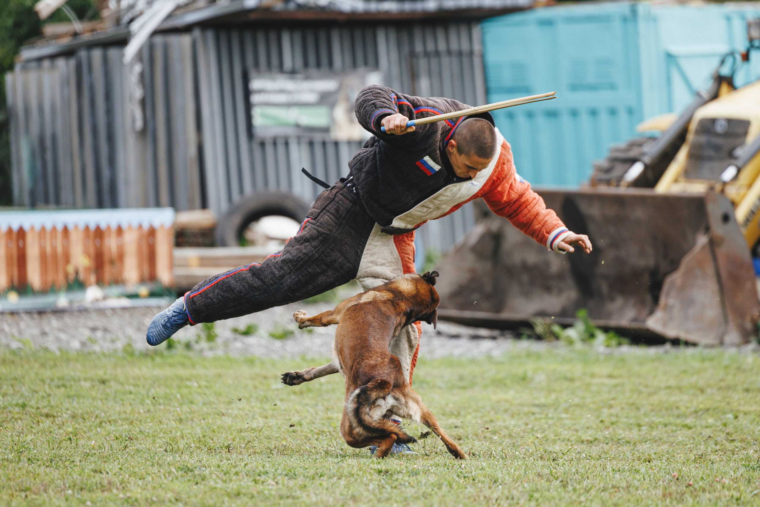 08.08.25-10.08.25 ЧР по мондьорингу г. Вологда. Фотограф-анималист Анна Маринич