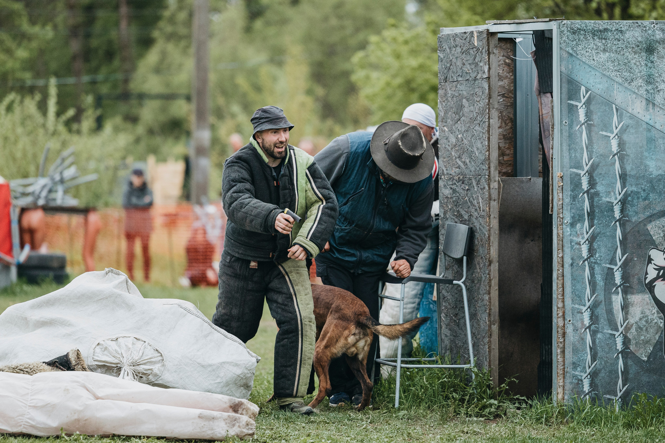 26.05.25 г. Пушкин квалификационные соревнования. Фотограф-анималист Анна Маринич