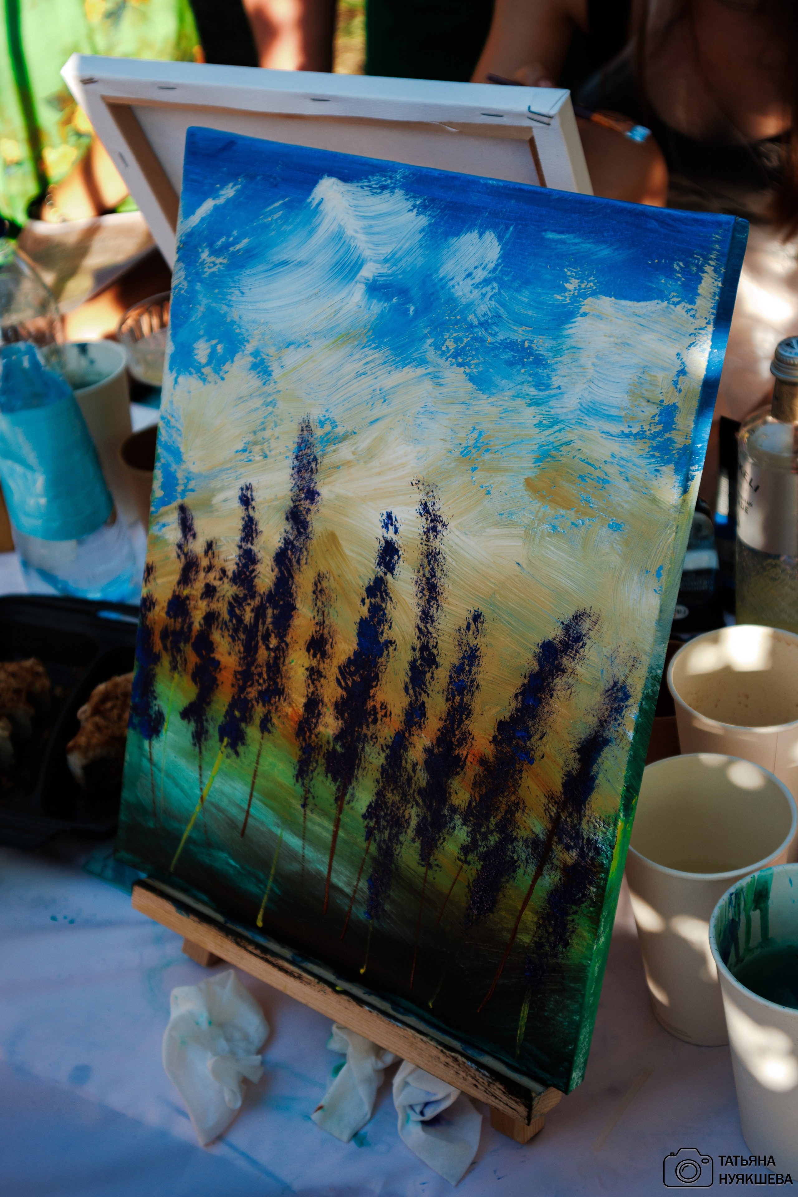 Арт-пикник 26.07.2024. Свадебный и семейный фотограф Татьяна Нуякшева Новоалтайск — Барнаул