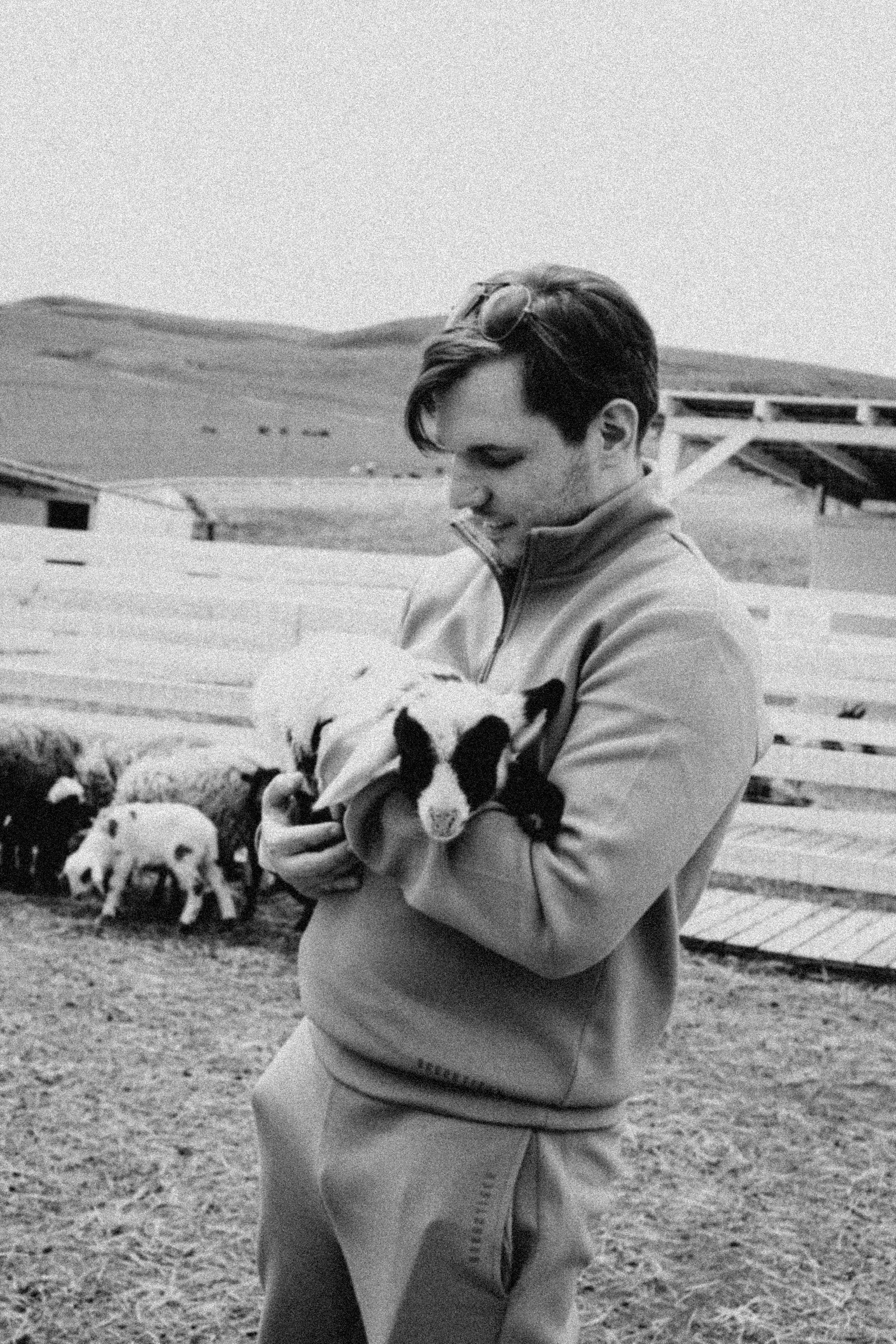 Ферма Альпак. Профессиональный фотограф, Санкт-Петербург — Виктория Богомолова