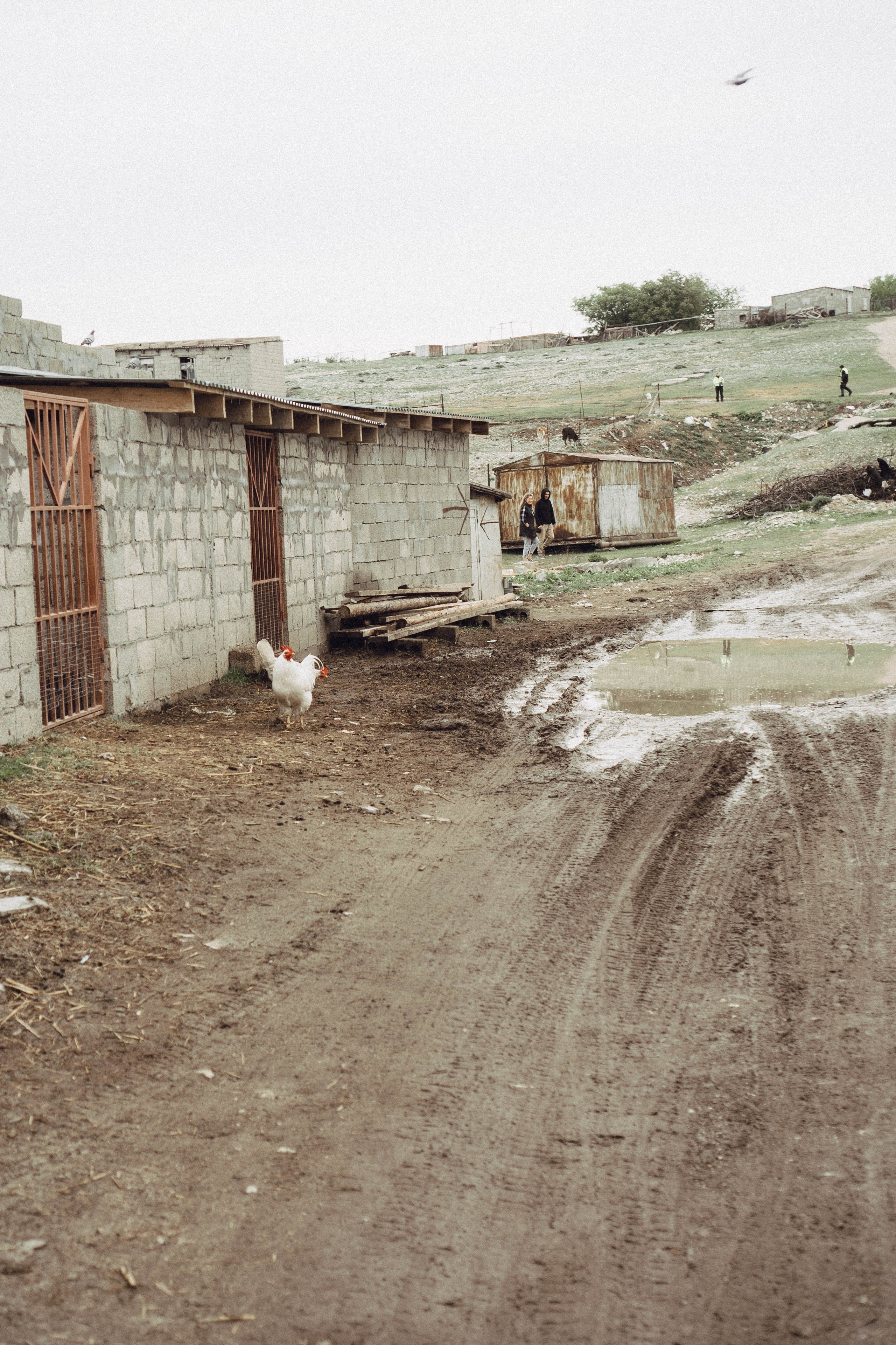Кавказ. Профессиональный фотограф, Санкт-Петербург — Виктория Богомолова