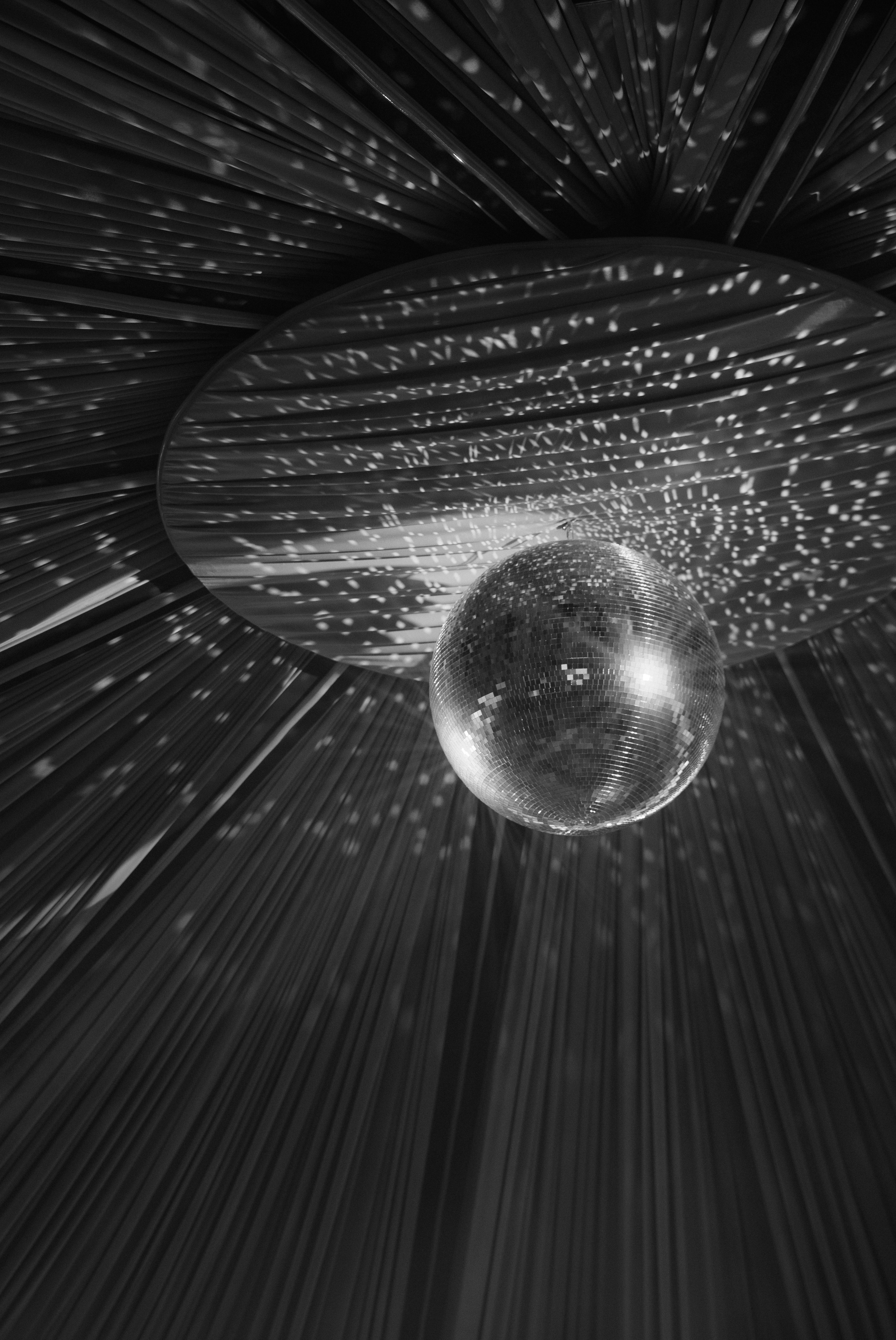 Вильдан и Эльвина. Организатор и координатор свадеб и других мероприятий в городе Набережные Челны