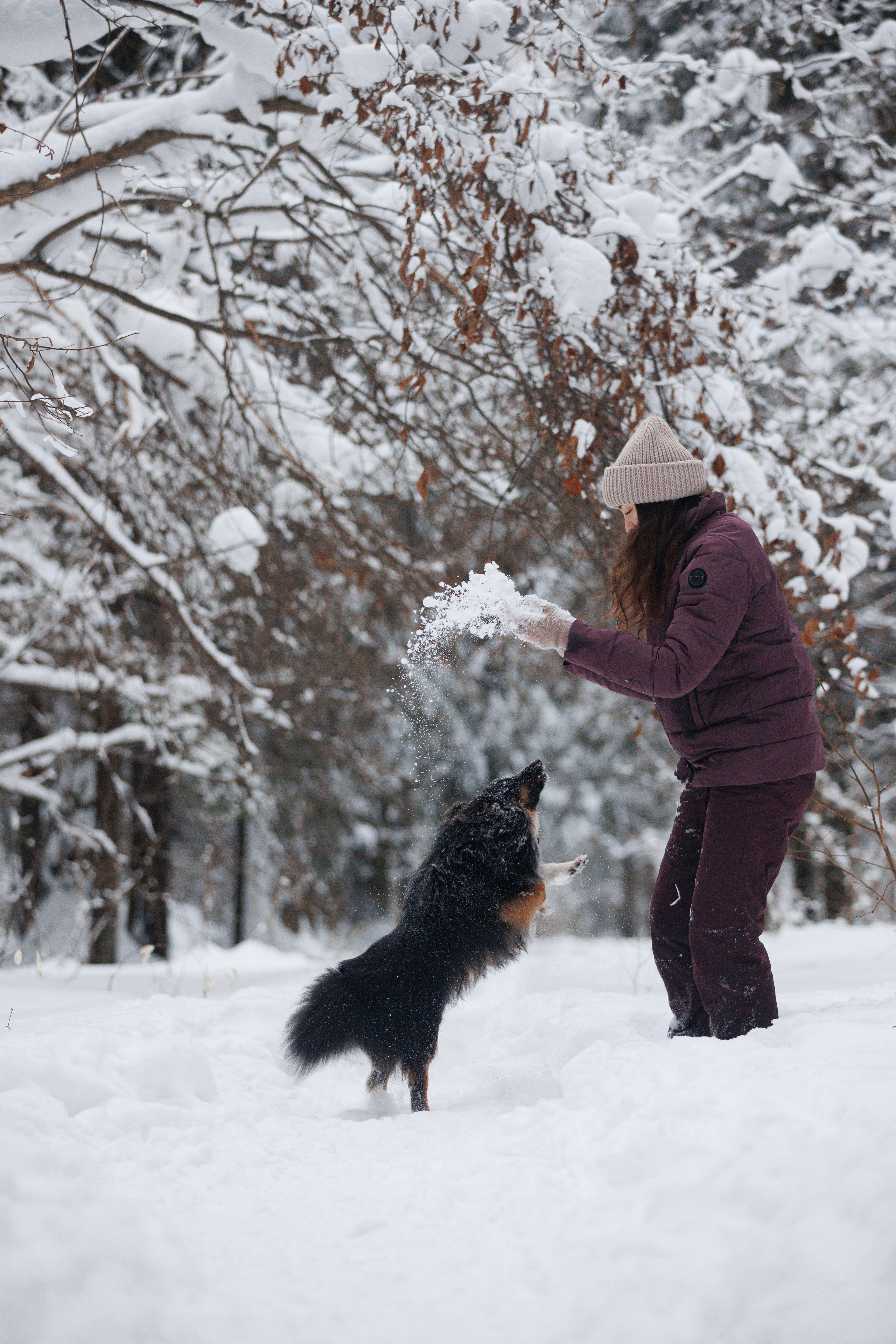Даша и компания. Фотограф анималист Кристина Карпова, Москва