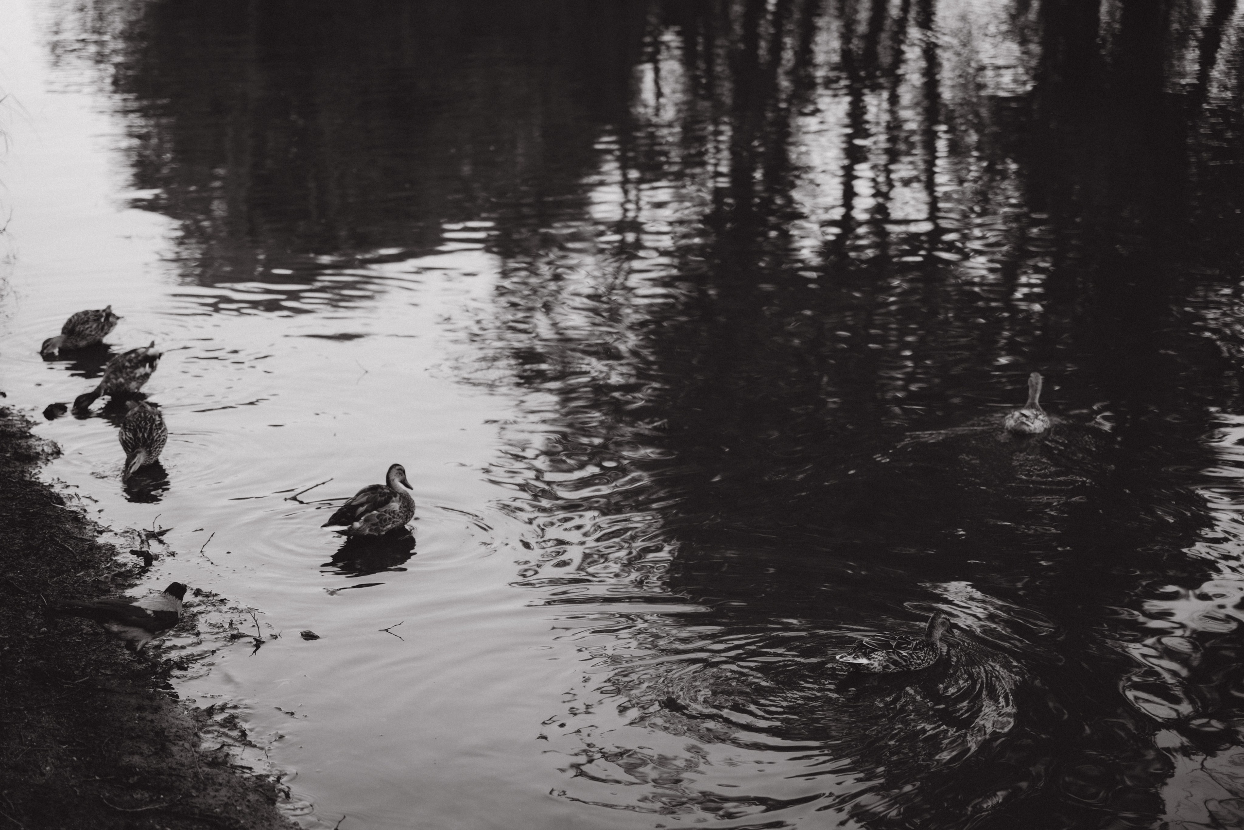 Лена, Костя, Елисей. Фотограф Мария Миллс | Минск