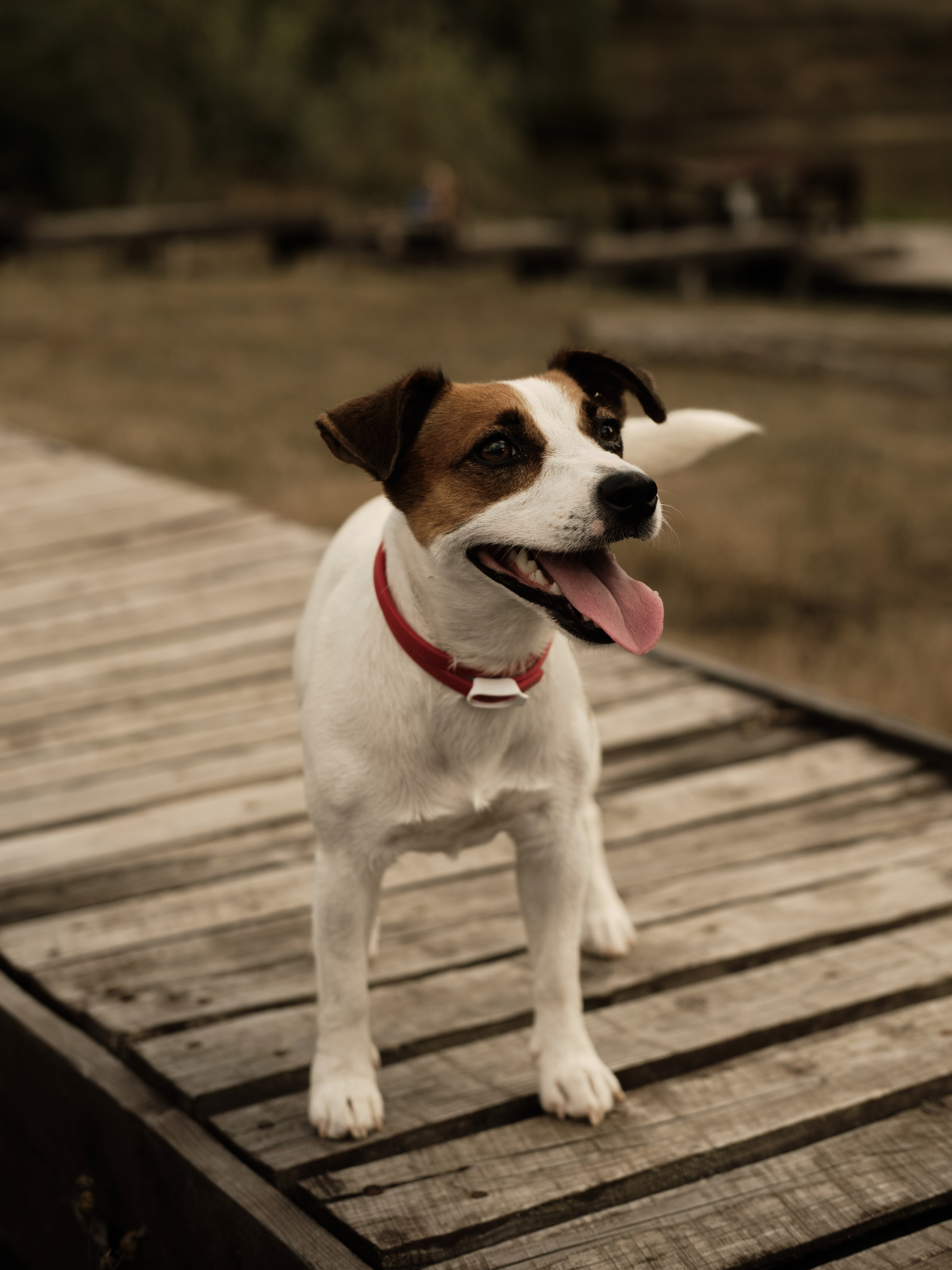 Маленькие сердца, большое тепло. Фотограф Карелина Полина