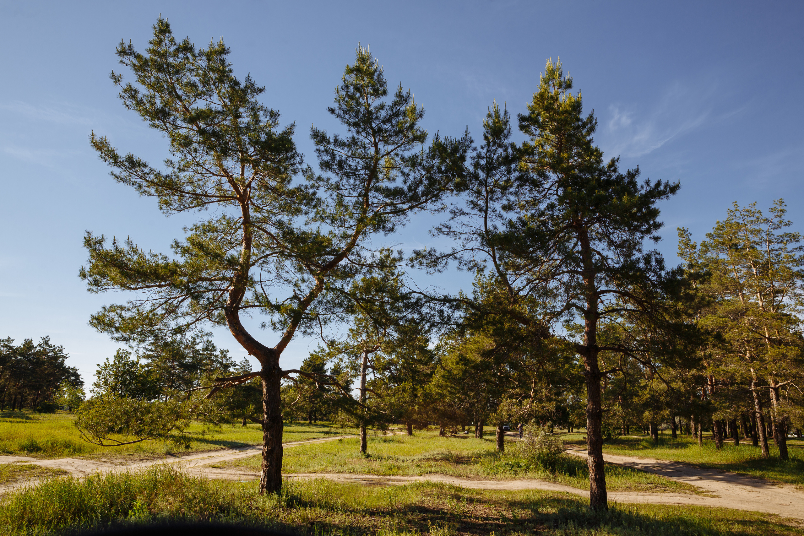 Сергей, Екатерина и Родион. Свадебный и репортажный фотограф в Волгограде Антон Сидоренко