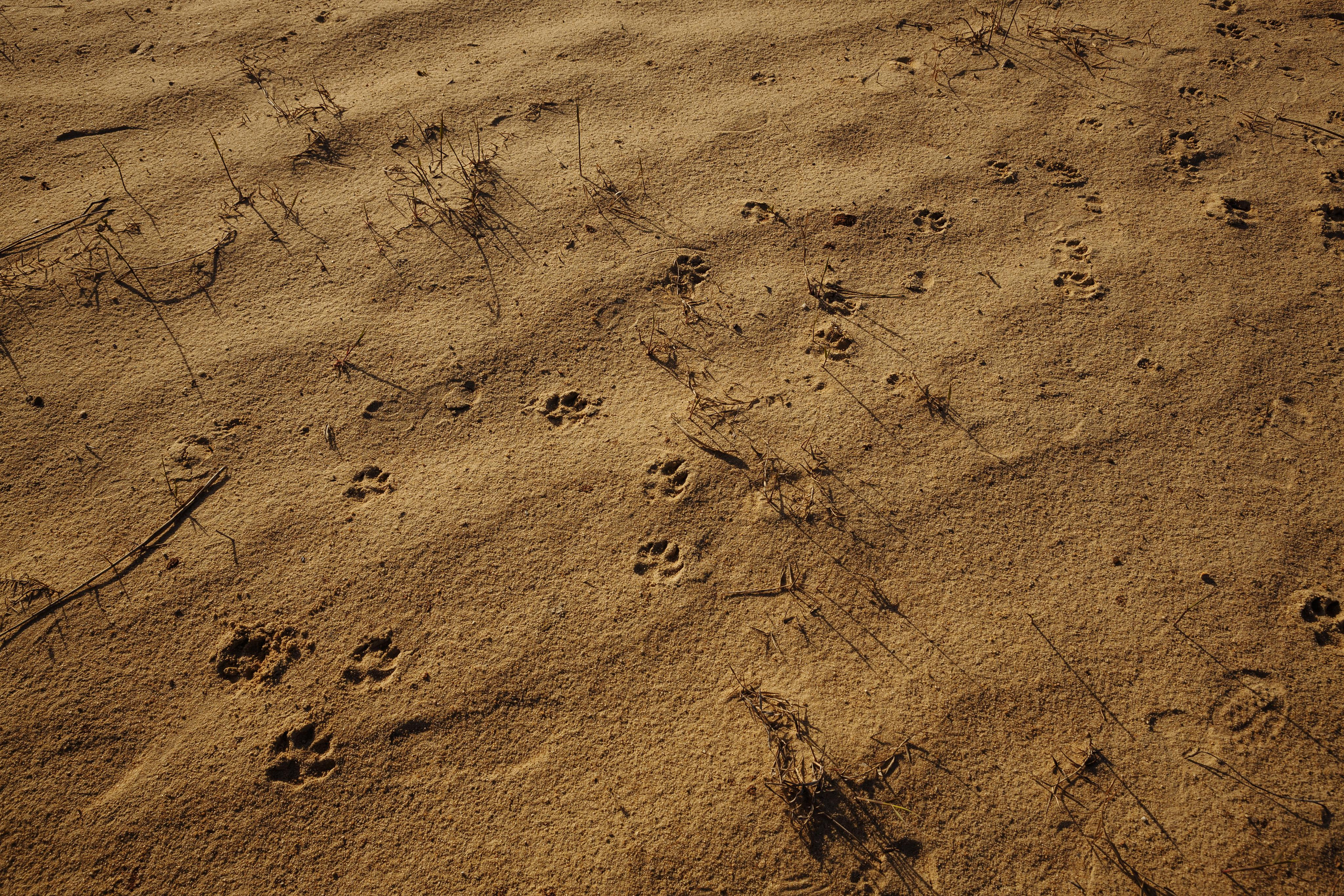 Сергей и Екатерина. Свадебный и репортажный фотограф в Волгограде Антон Сидоренко