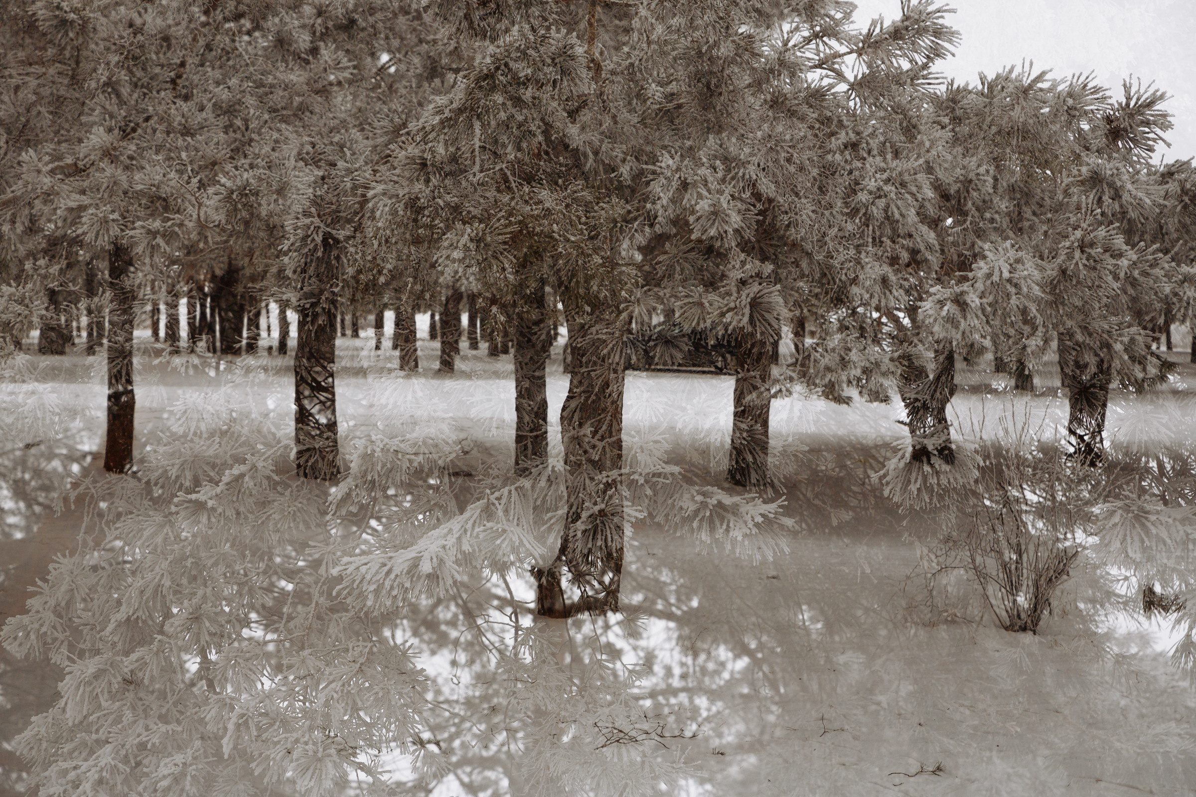 Геннадий и Ксения. Свадебный и репортажный фотограф в Волгограде Антон Сидоренко