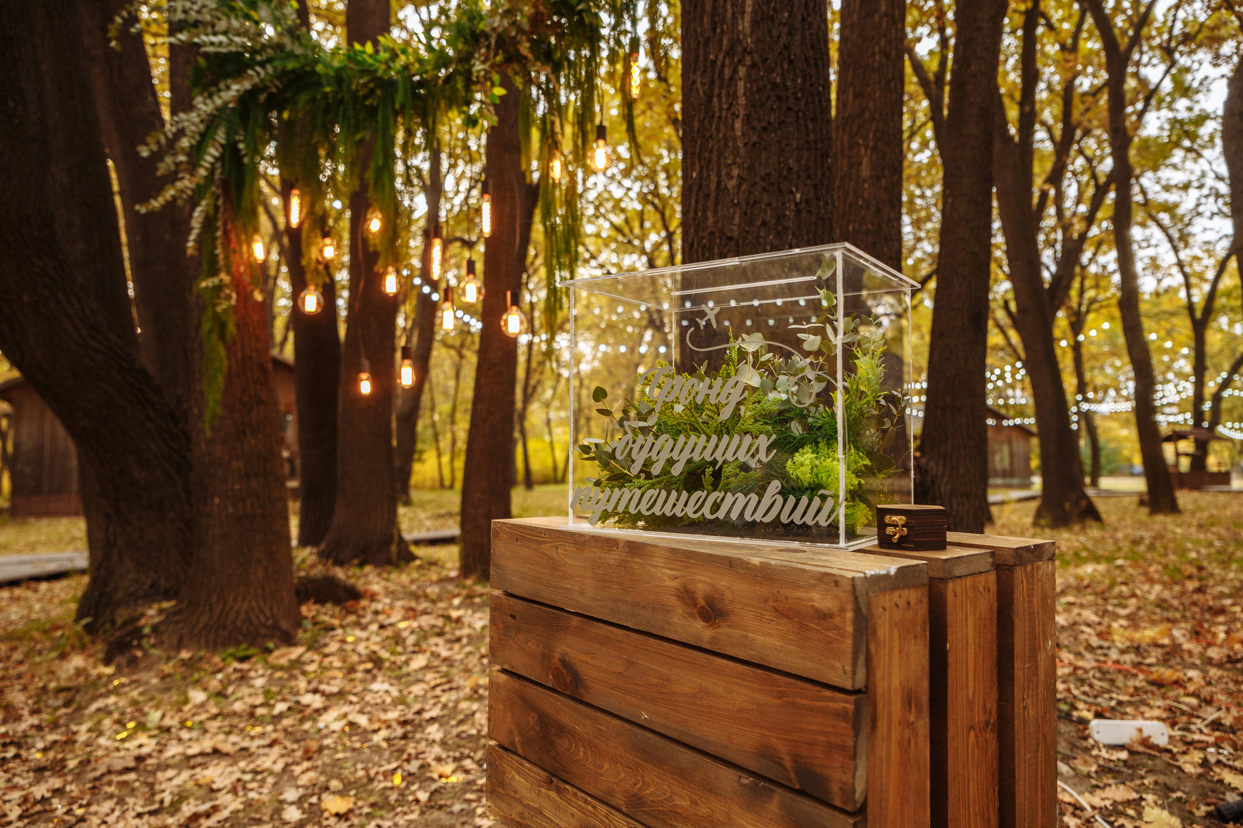 Максим и Надежда. Свадебный и репортажный фотограф в Волгограде Антон Сидоренко