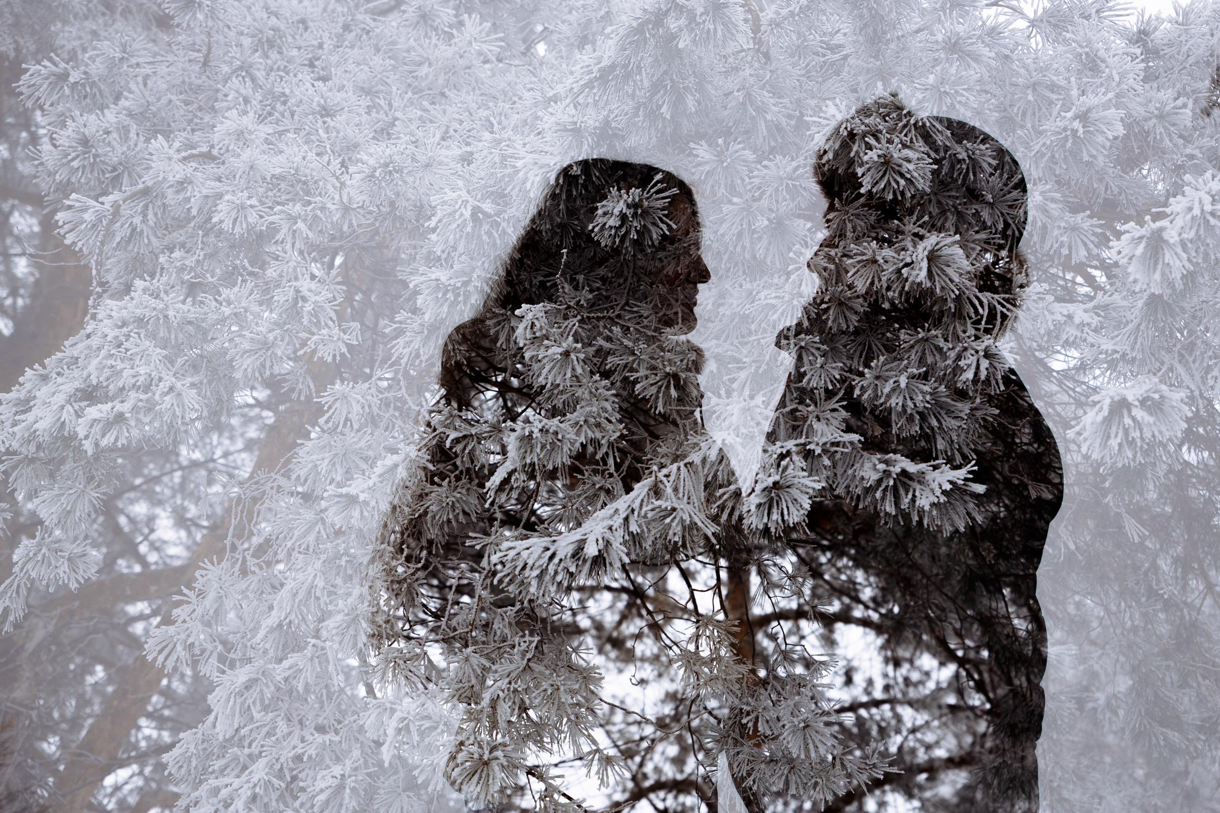 Геннадий и Ксения. Свадебный и репортажный фотограф в Волгограде Антон Сидоренко