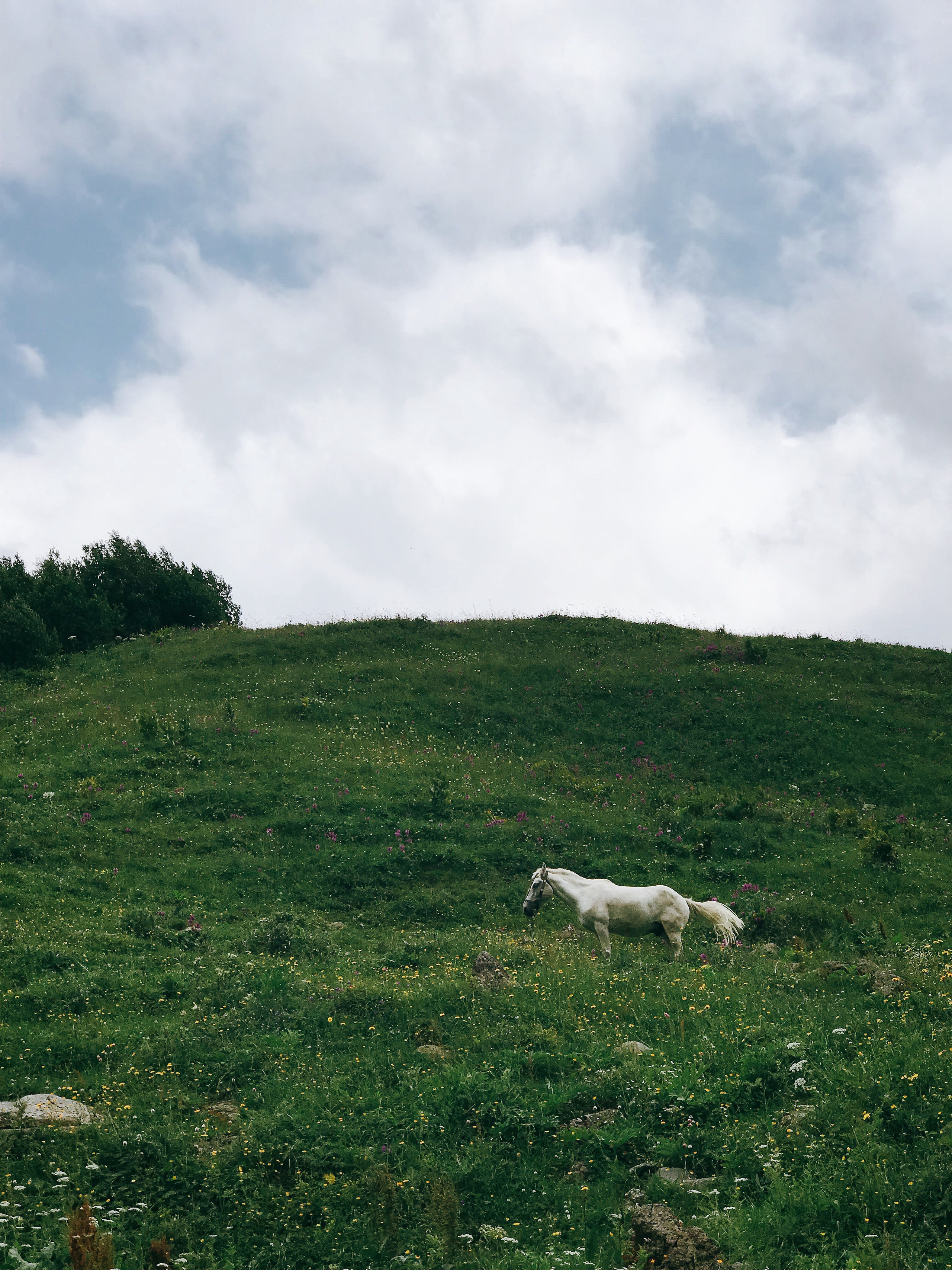 Восхождение на Казбек с Грузии. Уникальные экспедиции — LUCKY CLAN