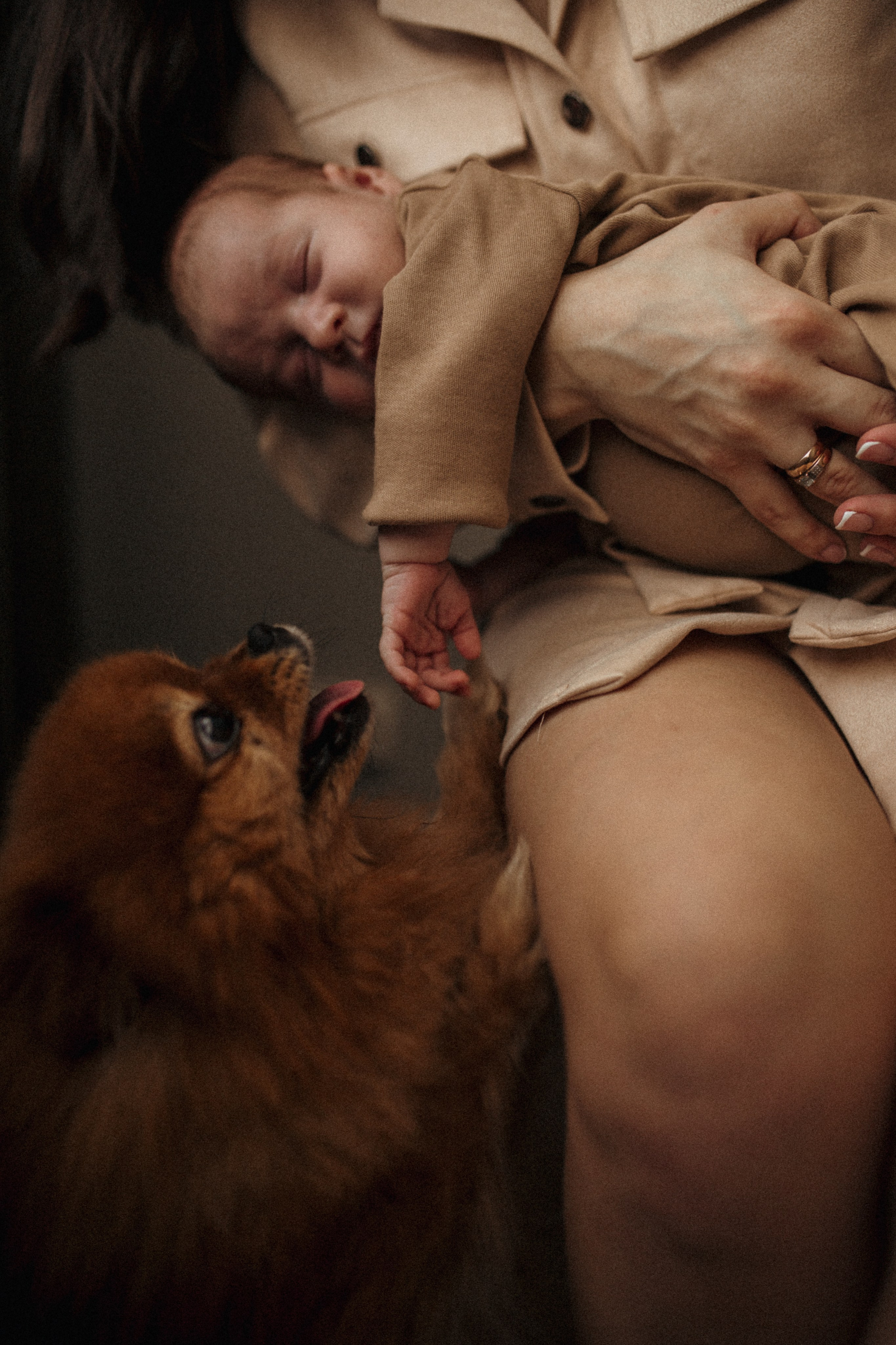 Мишенька 1 месяц. Семейный и Свадебный фотограф в Санкт-Петербурге Плохая Екатерина