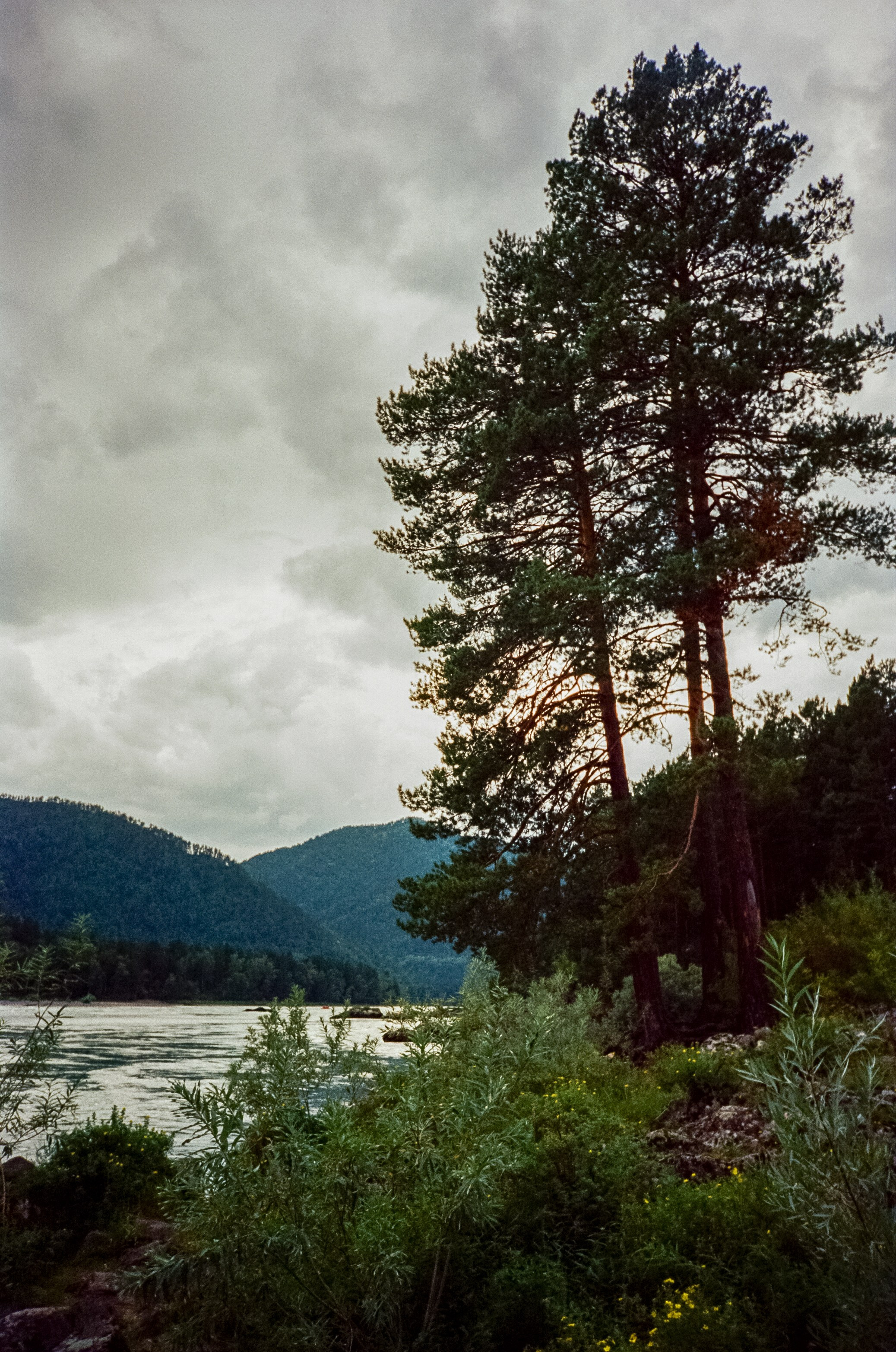 Знакомые места Чемальского тракта. Фотограф-документалист Мария Осокина