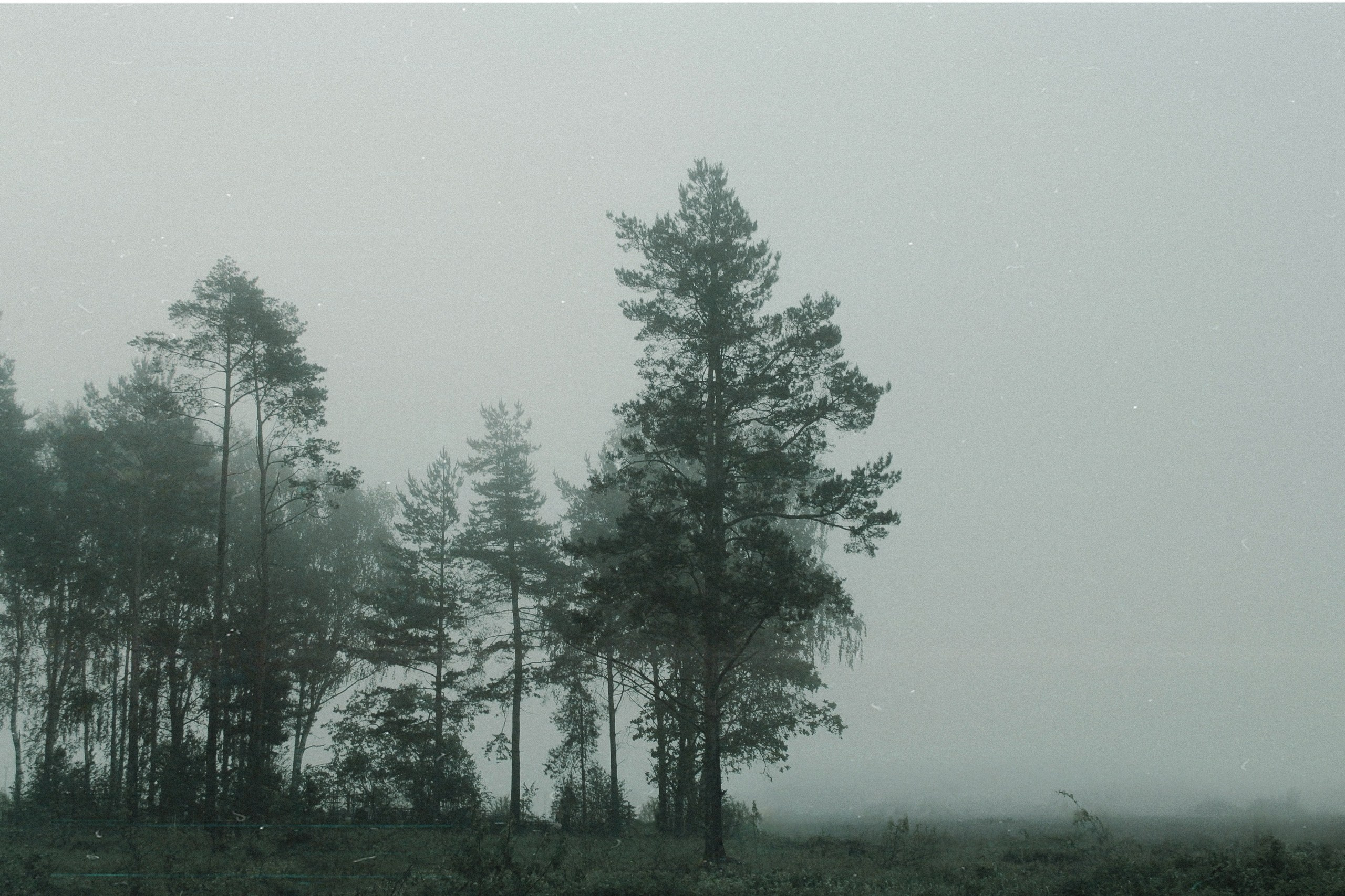 Ольга Венгель. Фотограф, режиссёр, художник Аполлинария Лиманская