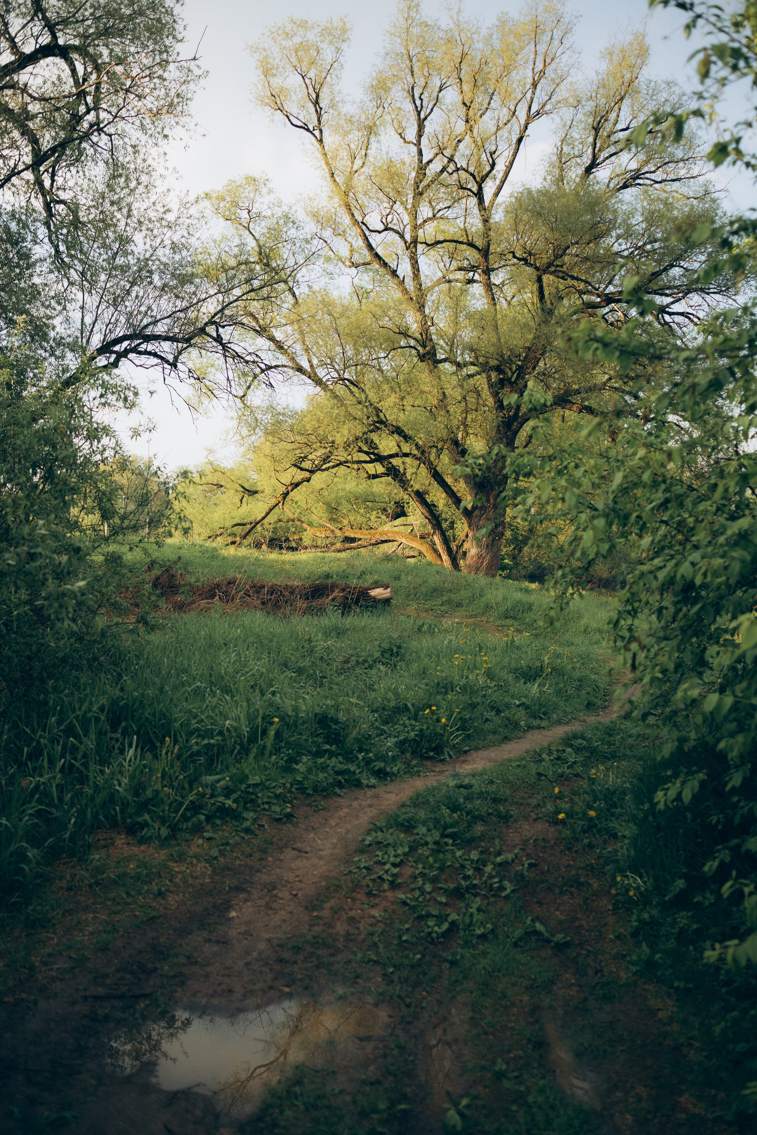 Istra. Женский фотограф Истра