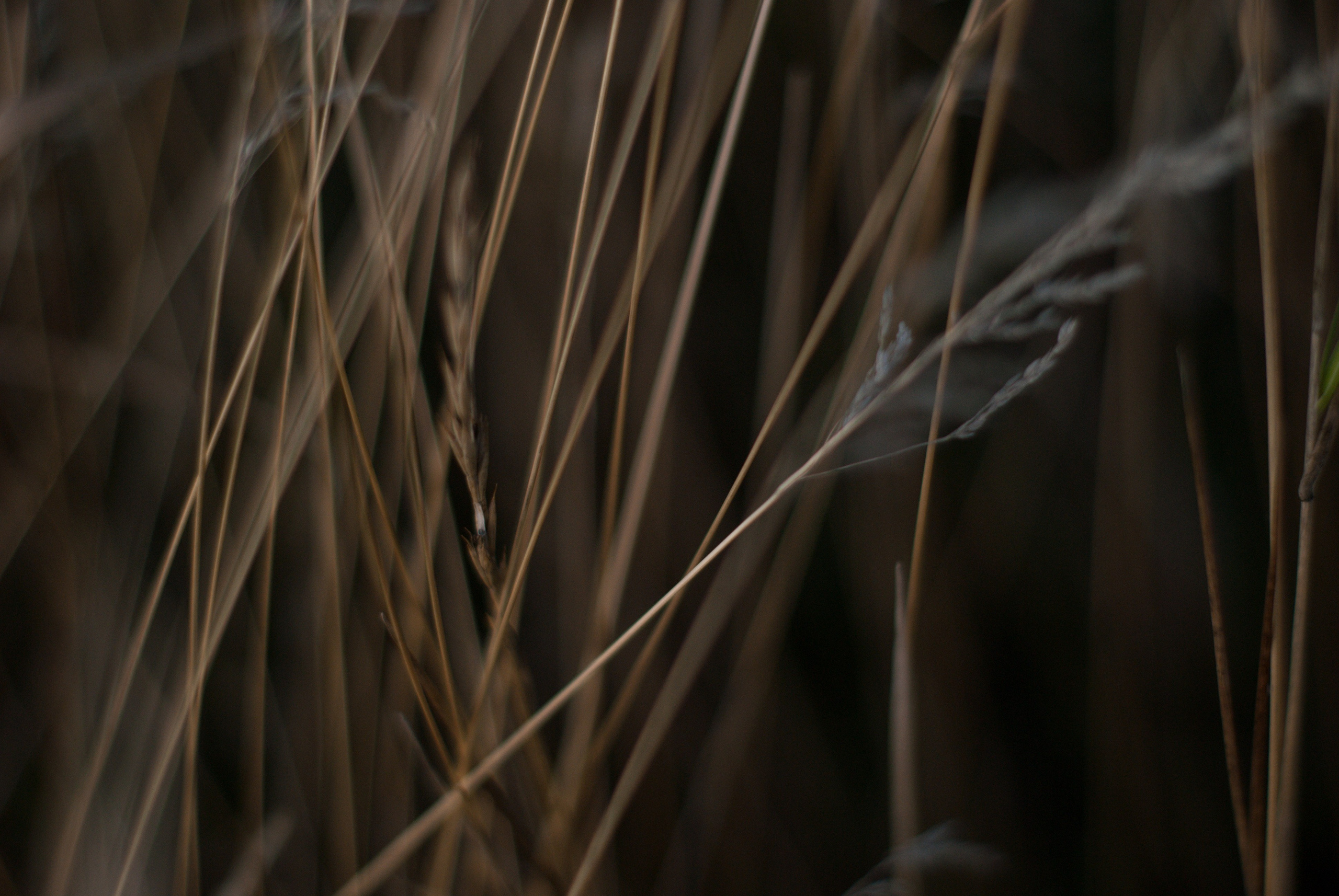 Этот прекрасный мир