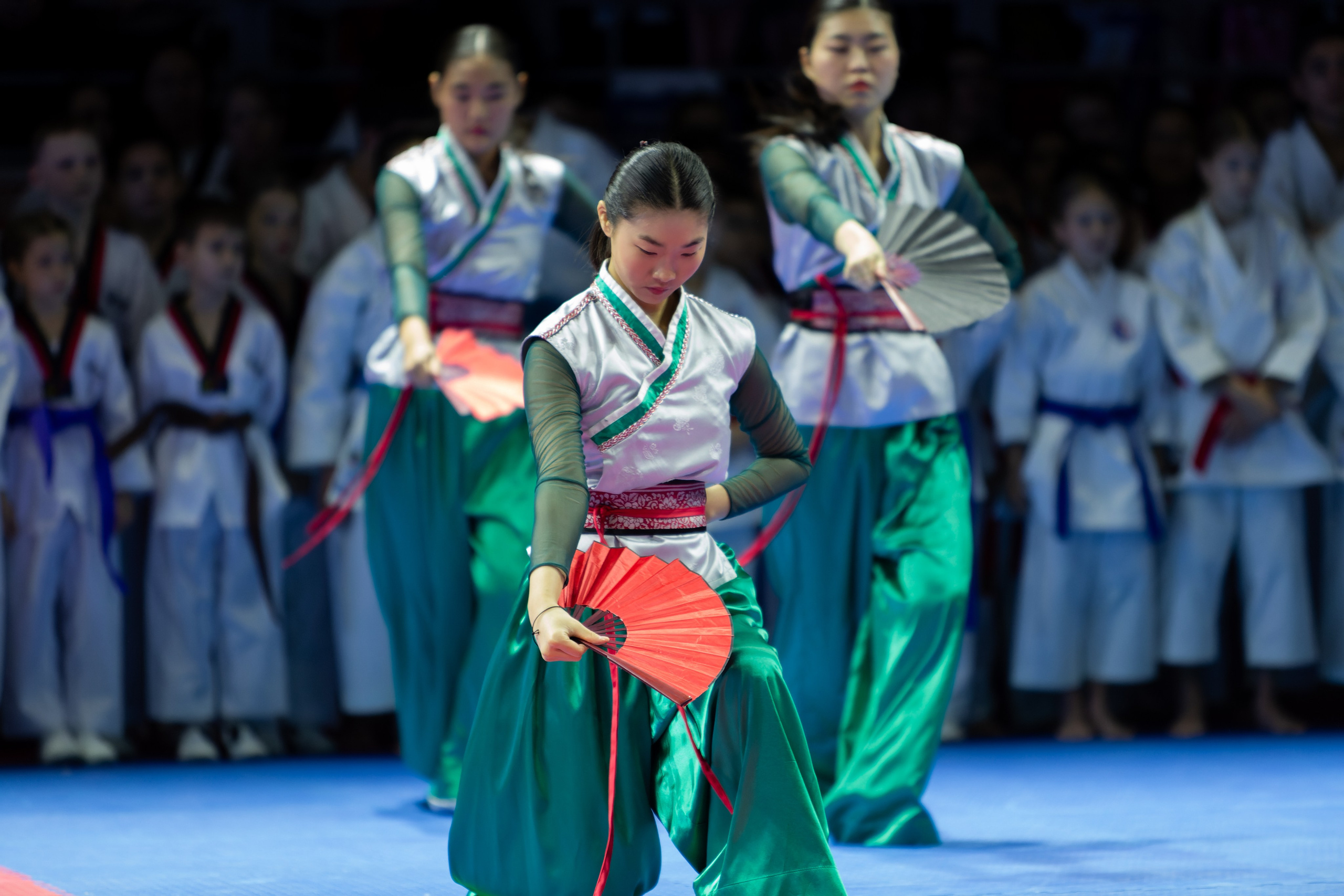 Дальневосточный фестиваль восточных единоборств. Кутузов Евгений Фотограф в Южно-Сахалинске