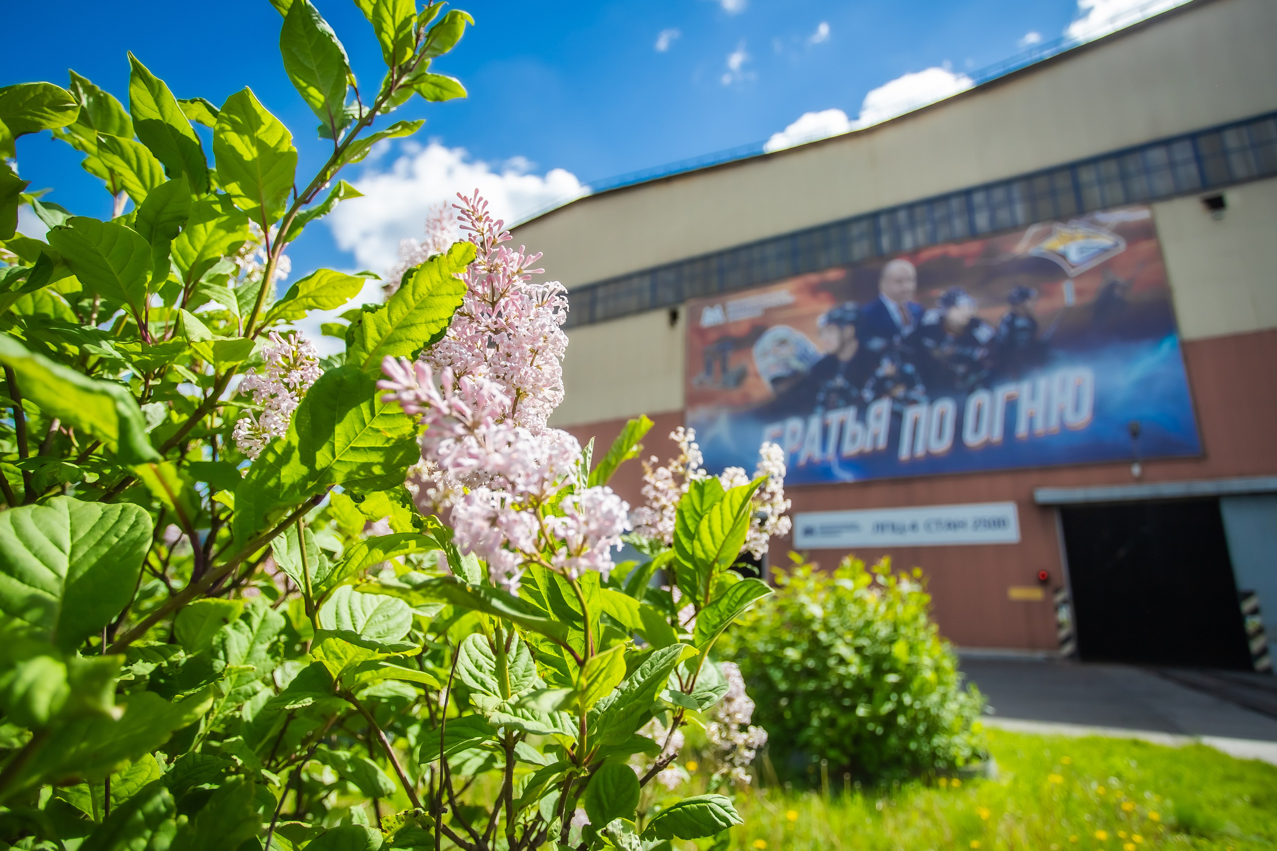 ММК летом. Сергей Петруша. Фотограф