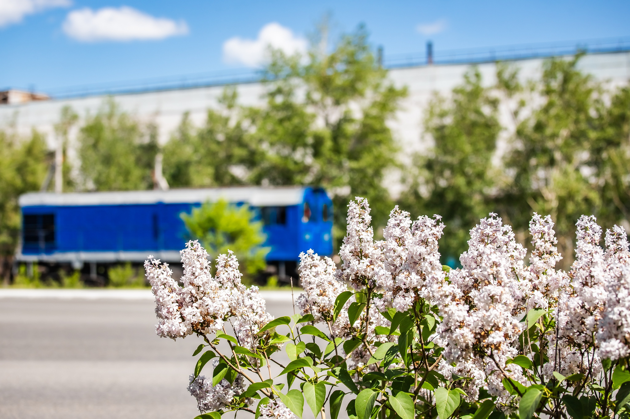 ММК летом. Сергей Петруша. Фотограф