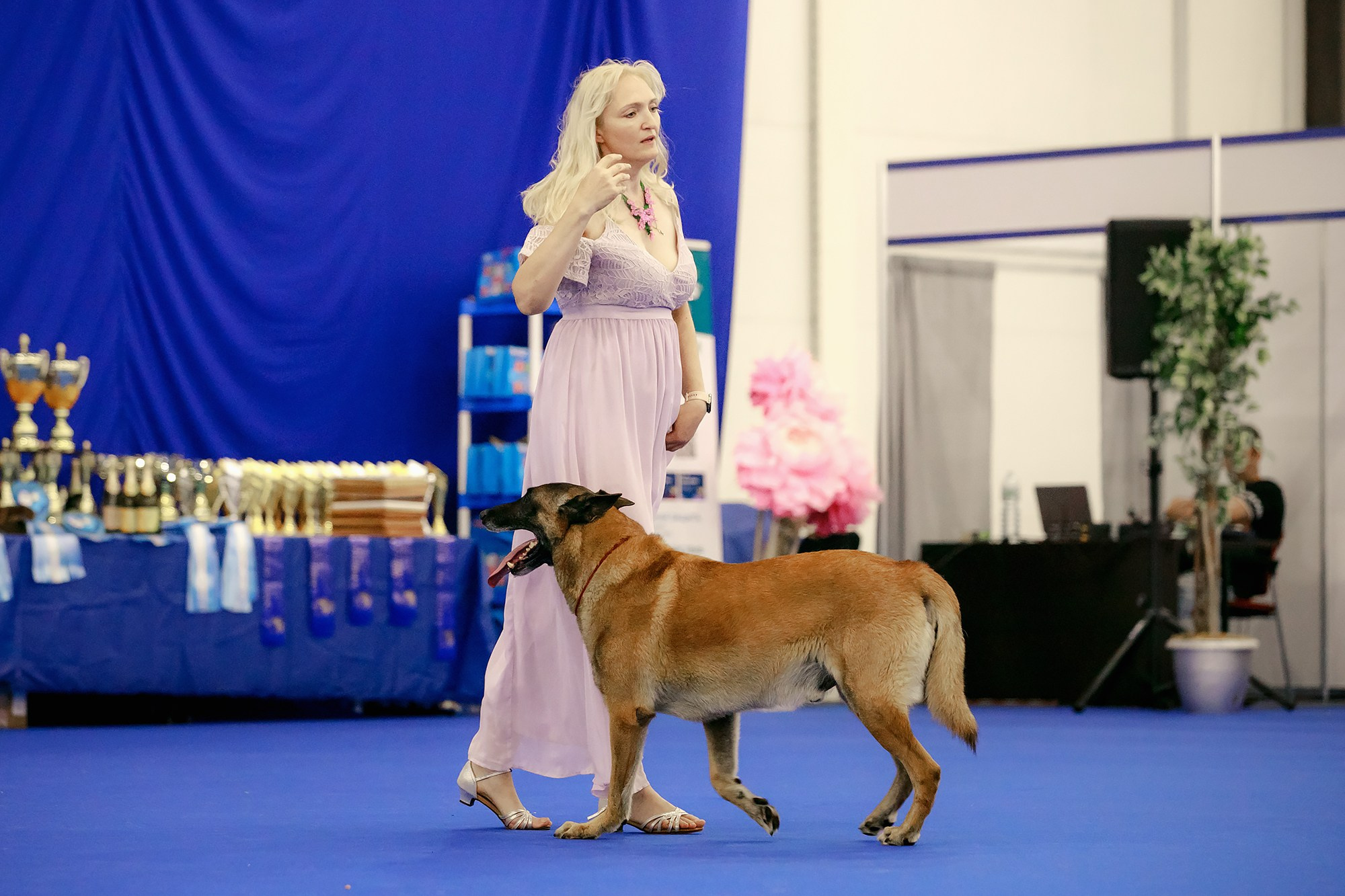 Танцы на выставке «Зоошоу», СПб. Фотограф-анималист Mary Mart — Москва, Питер