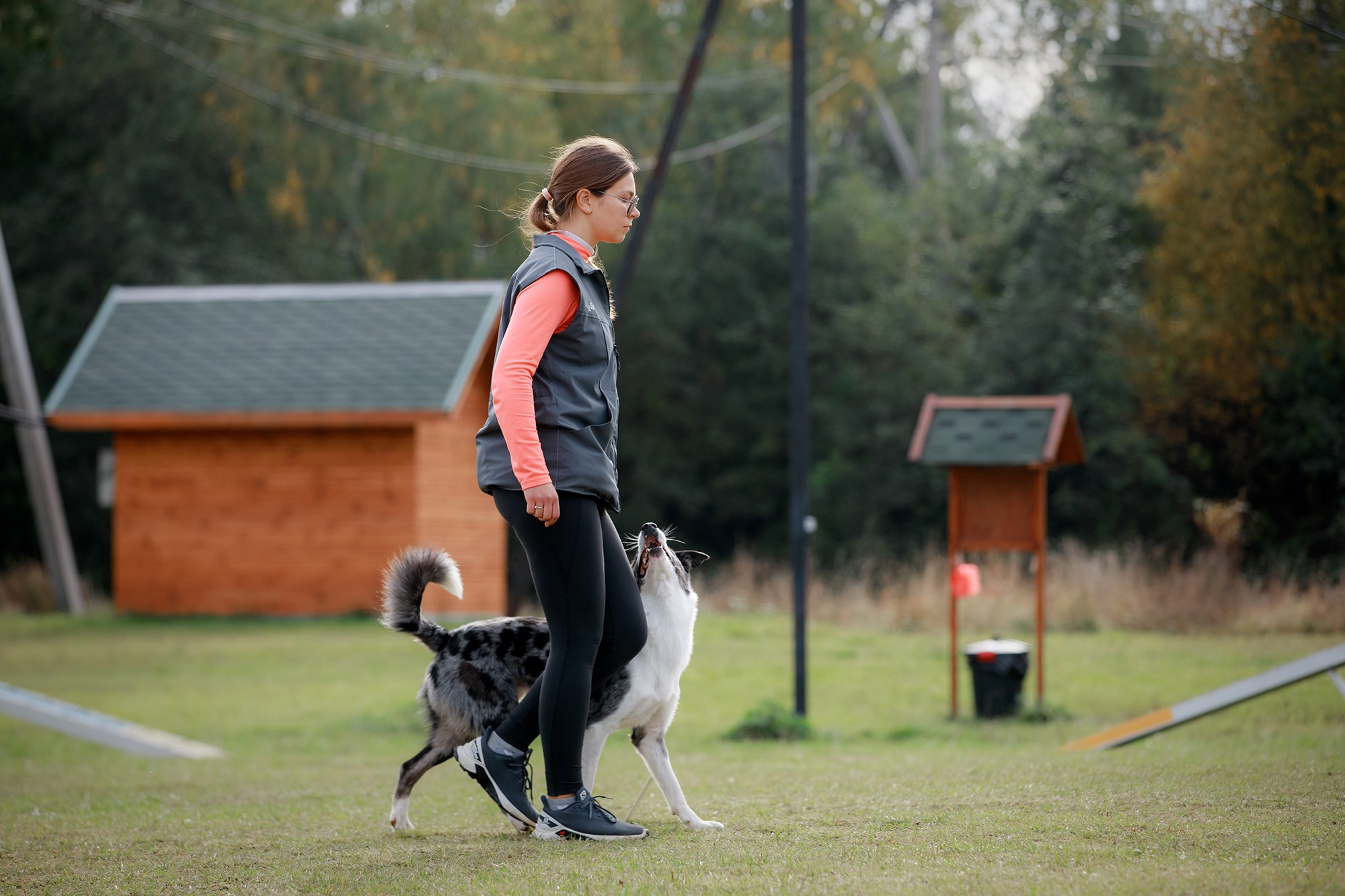 Лагерь по ОБД с Инной Баженовой. Фотограф-анималист Mary Mart — Москва, Питер