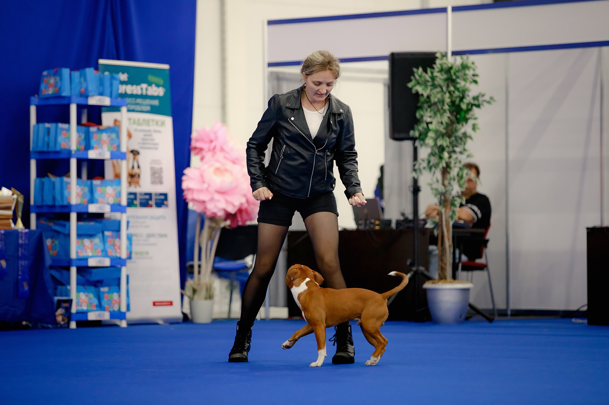Танцы на выставке «Зоошоу», СПб. Фотограф-анималист Mary Mart — Москва, Питер