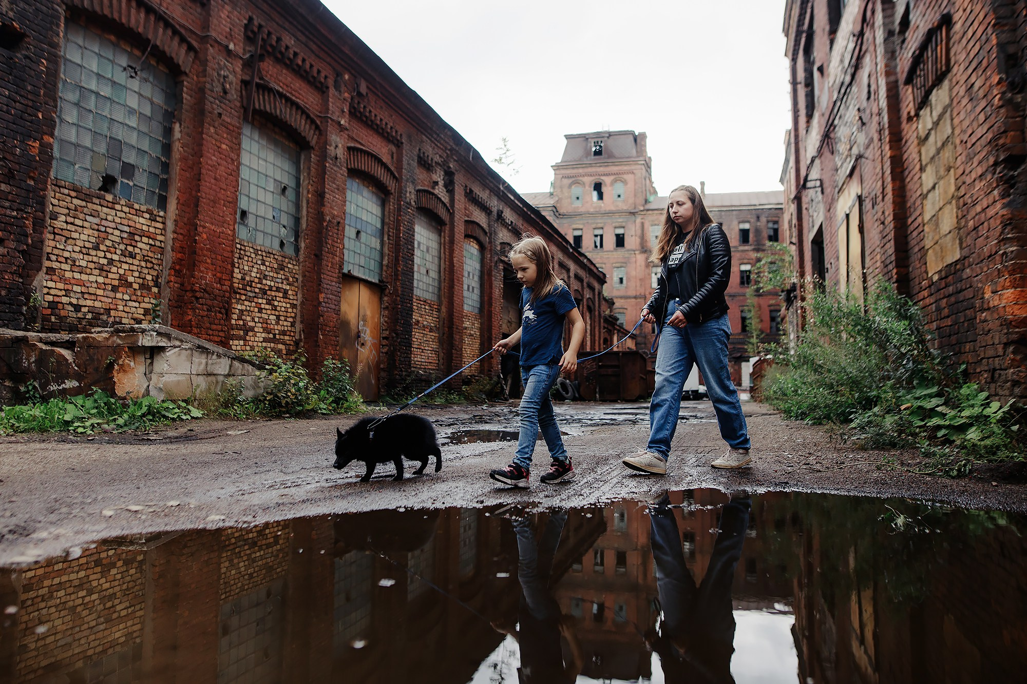 Саша, Маша и шипперке Йети. Фотограф-анималист Mary Mart — Москва, Питер
