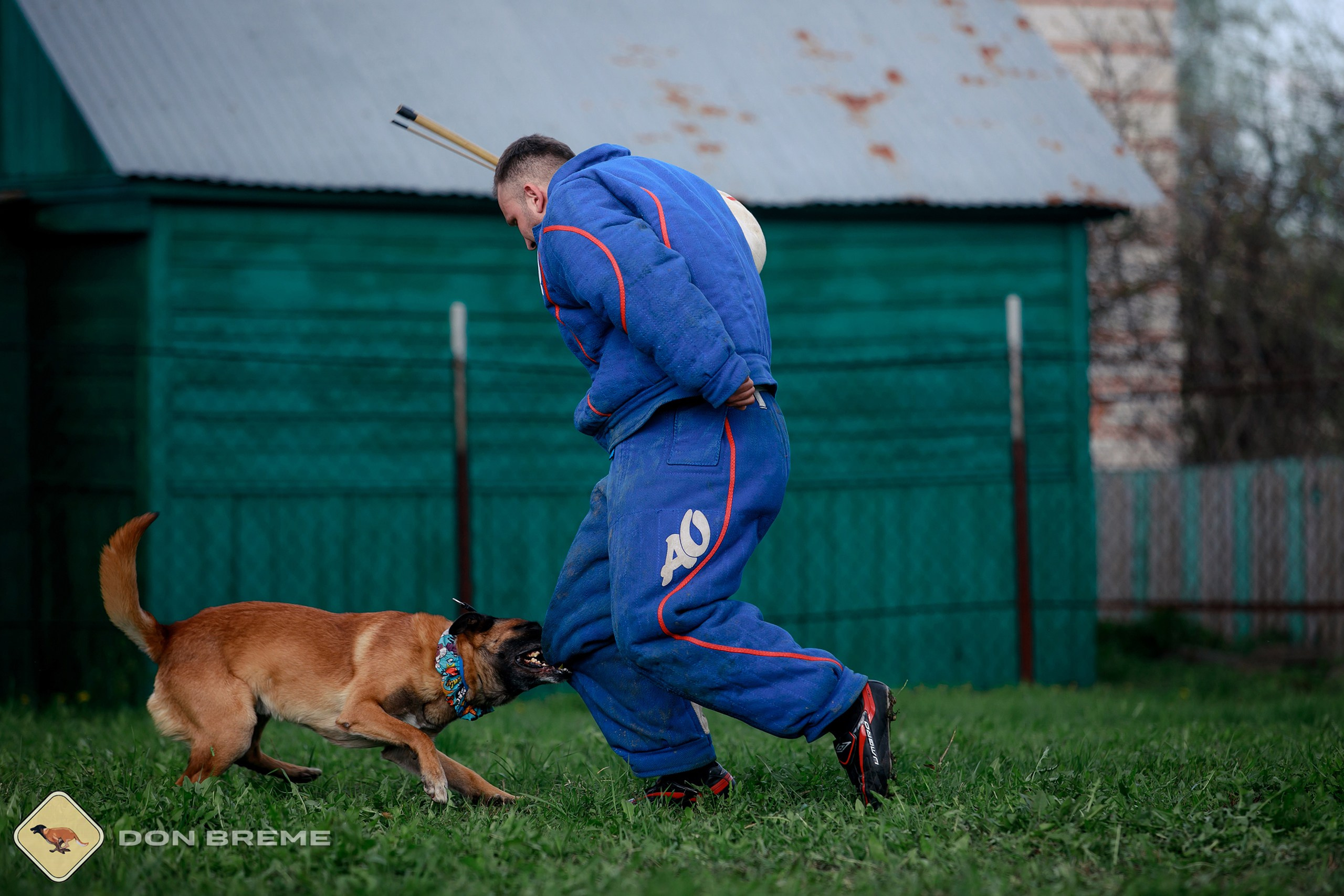 Семинар для фигурантов, день 2. Фотограф-анималист Mary Mart — Москва, Питер