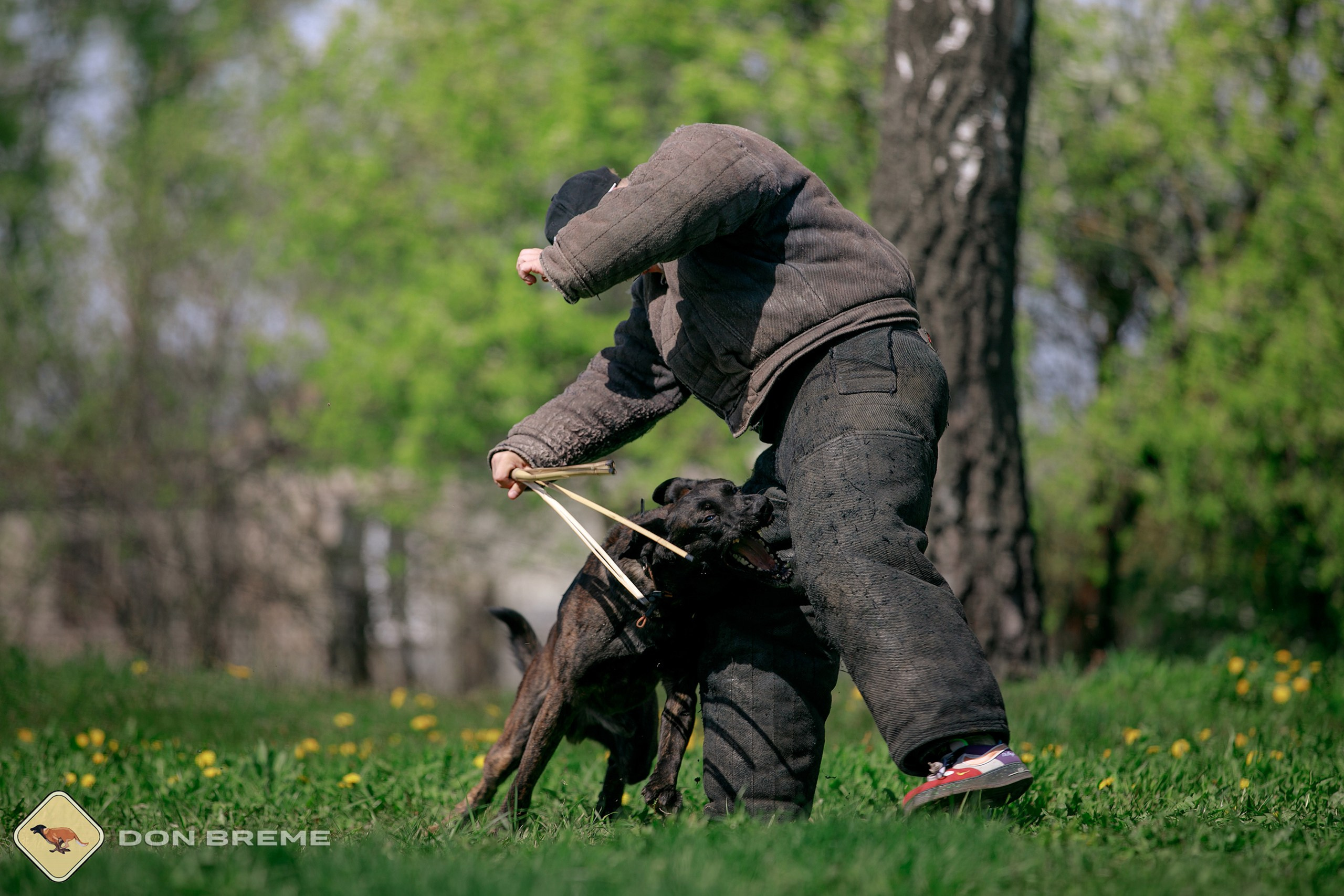 Семинар для фигурантов, день 4. Фотограф-анималист Mary Mart — Москва, Питер