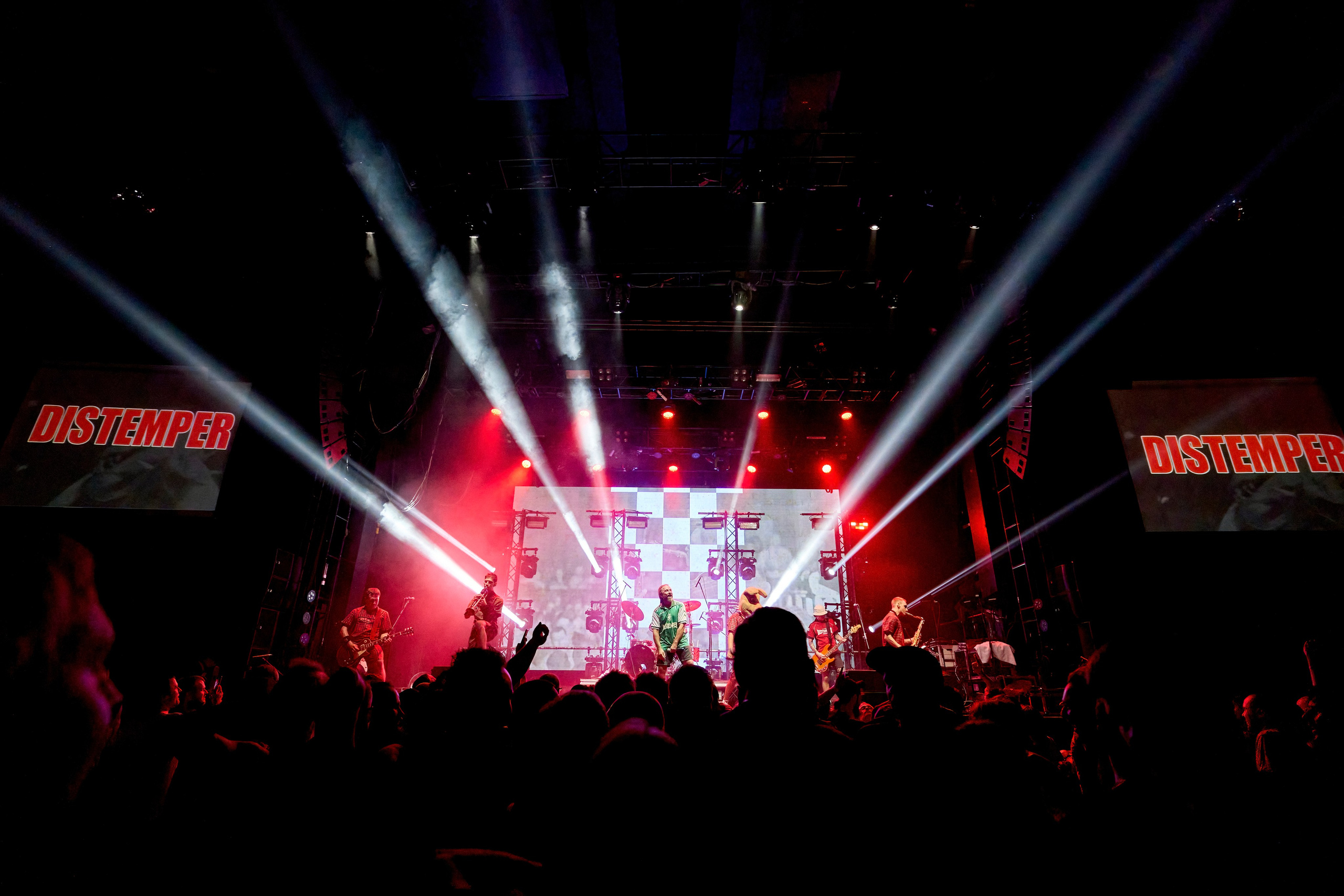 DISTEMPER / BASE/ 23.09.2023. Ekhovanov | фото- видеосъемка