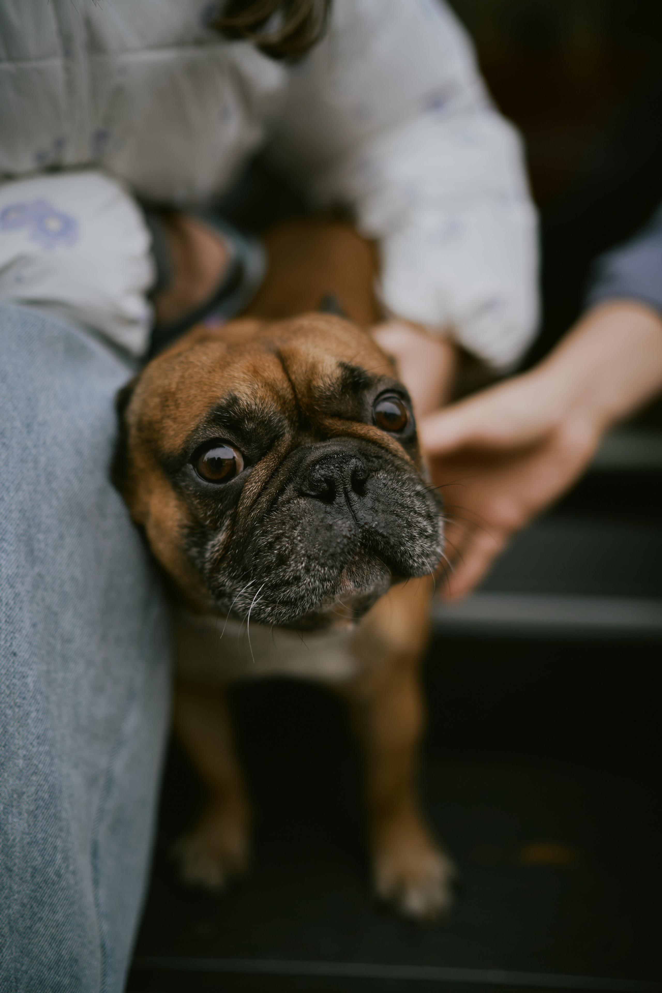 Лена и Кирилл. Фотограф в Санкт-Петербурге | Аня Маленчук