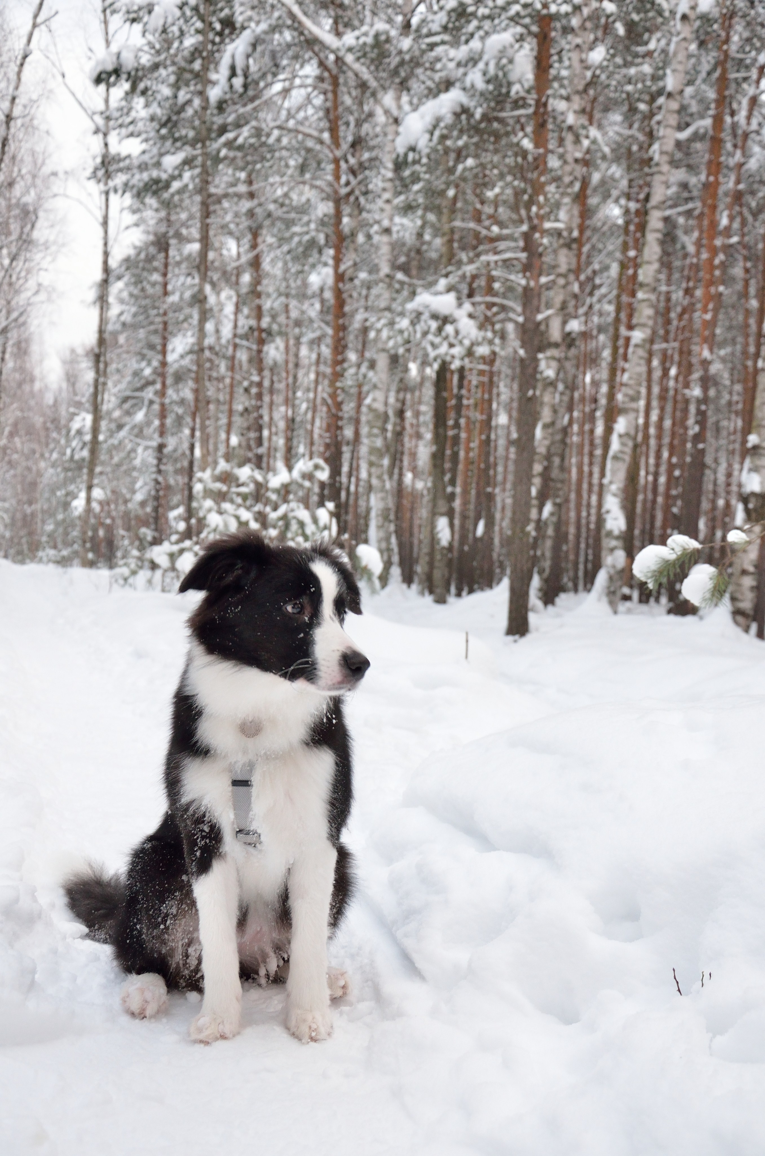 Муня. Добро пожаловать на мой сайт, меня зовут Наталия, я фотограф