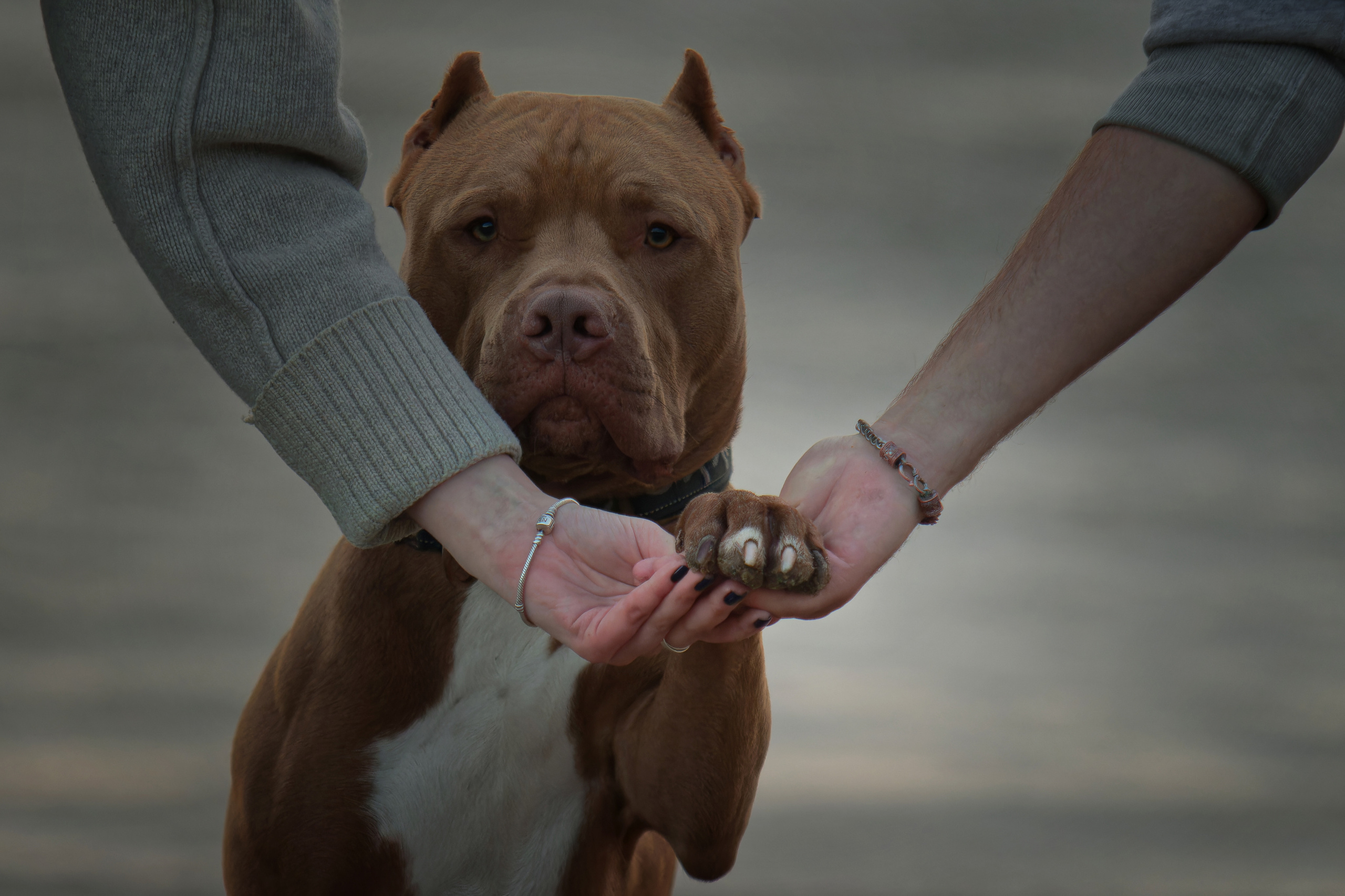 Фотограф-анималист Юлия Зубкова